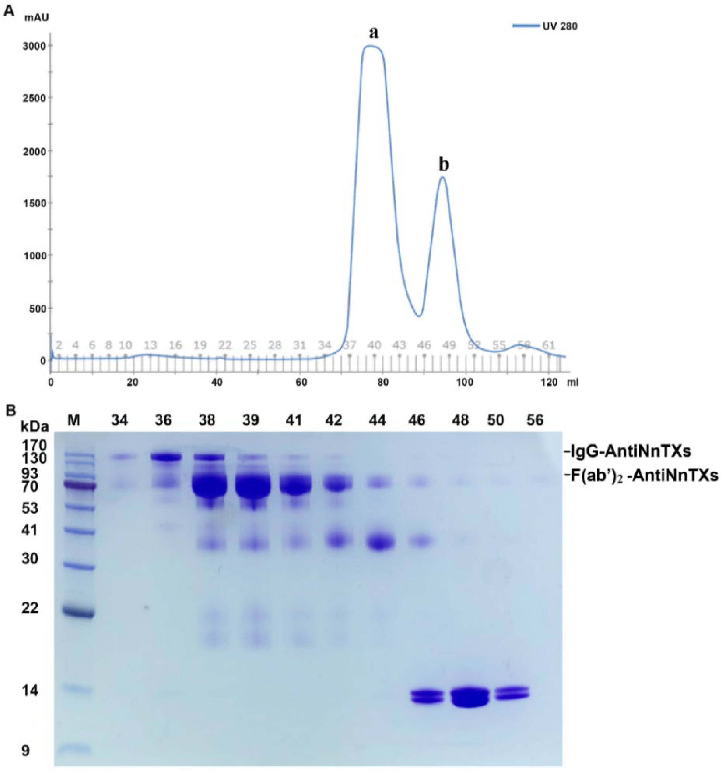 Ijms 22 12672 g004 550
