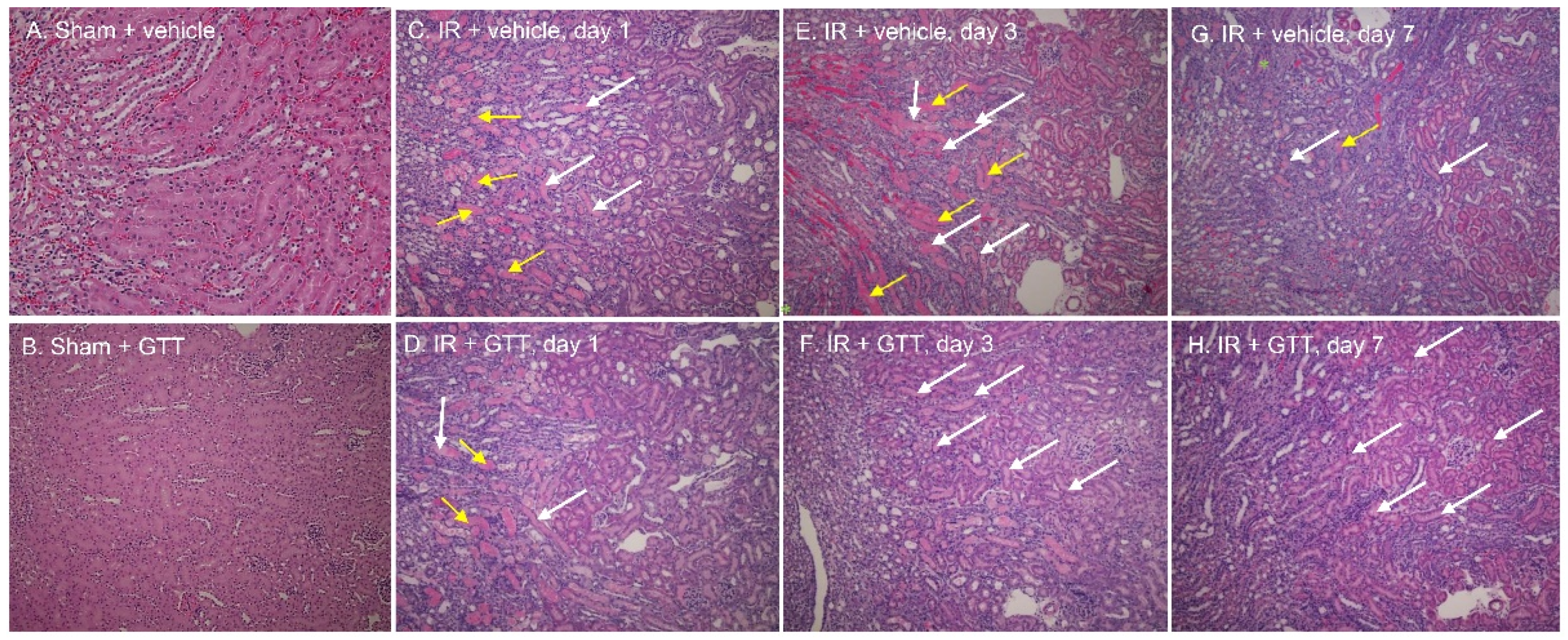 Ijms 22 12674 g003 550