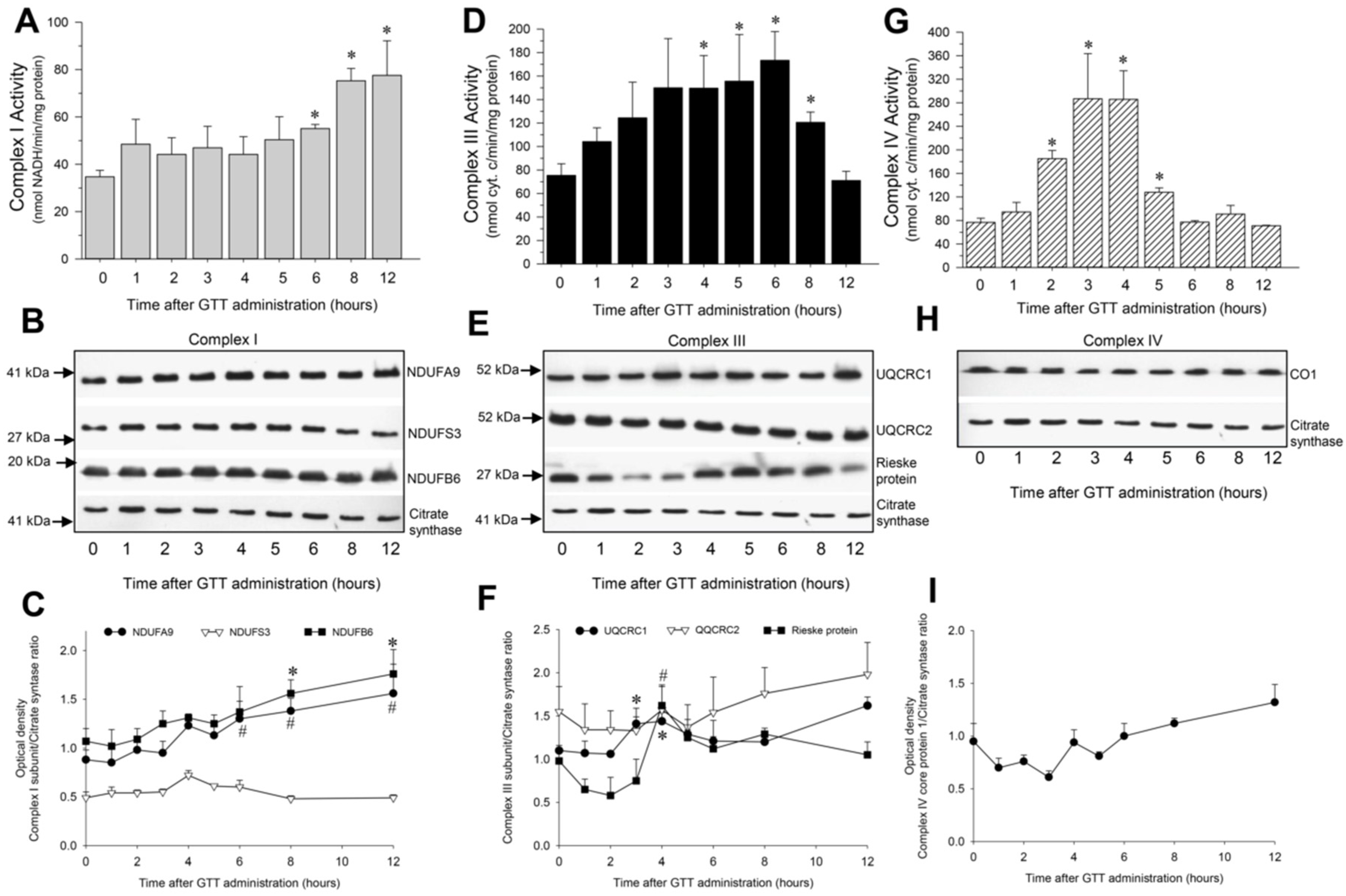 Ijms 22 12674 g006 550