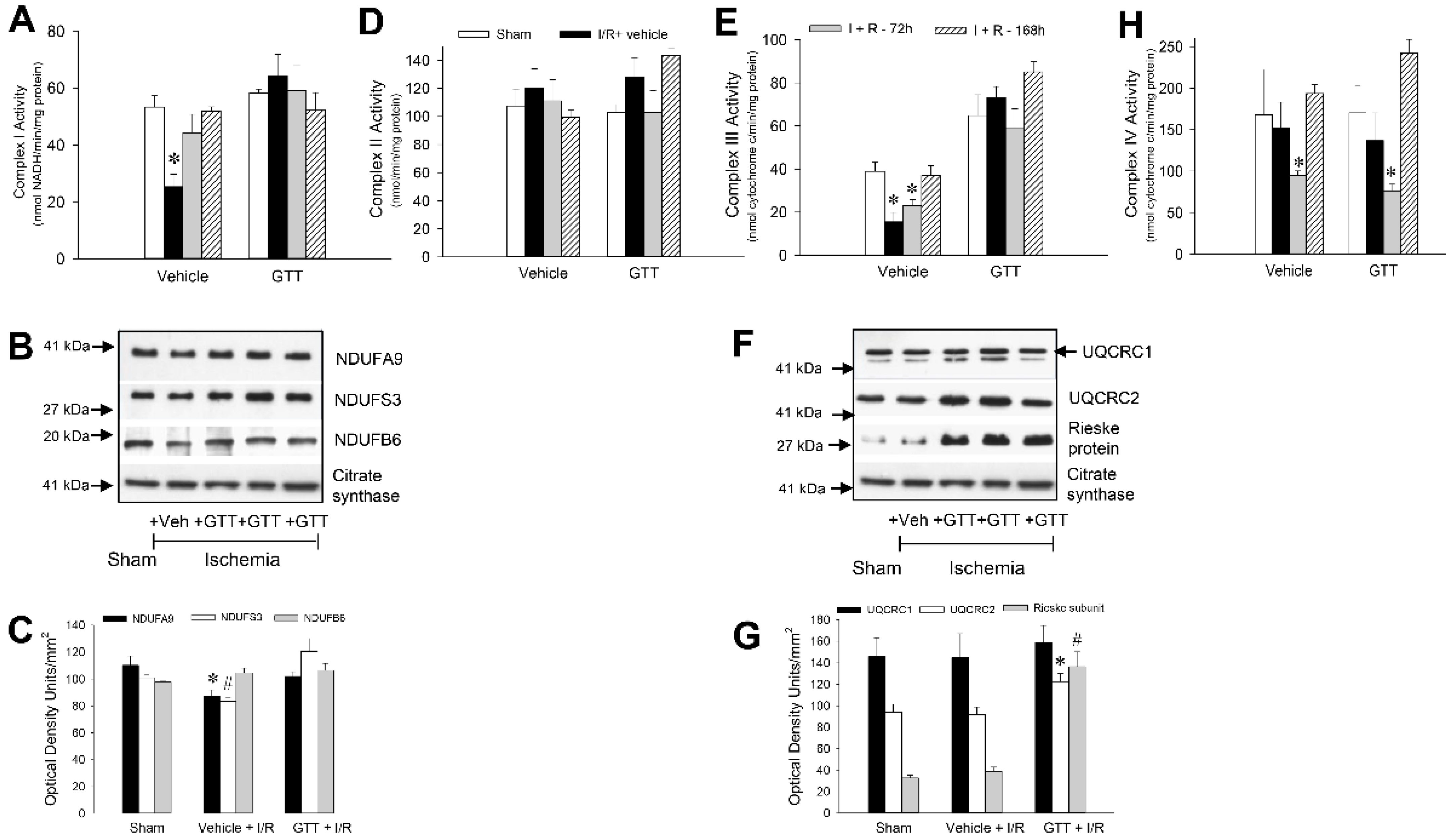 Ijms 22 12674 g007 550