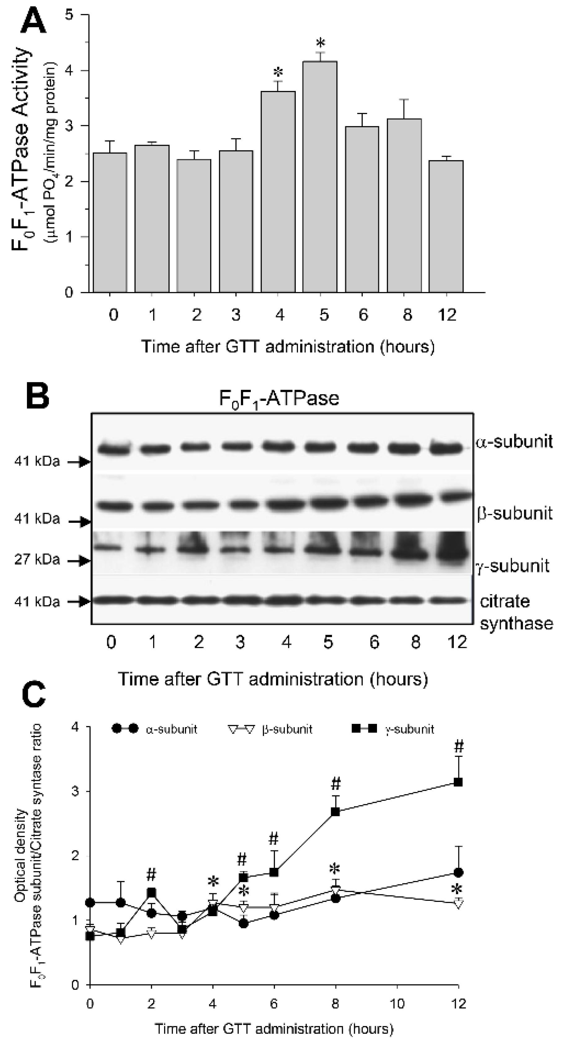 Ijms 22 12674 g008 550