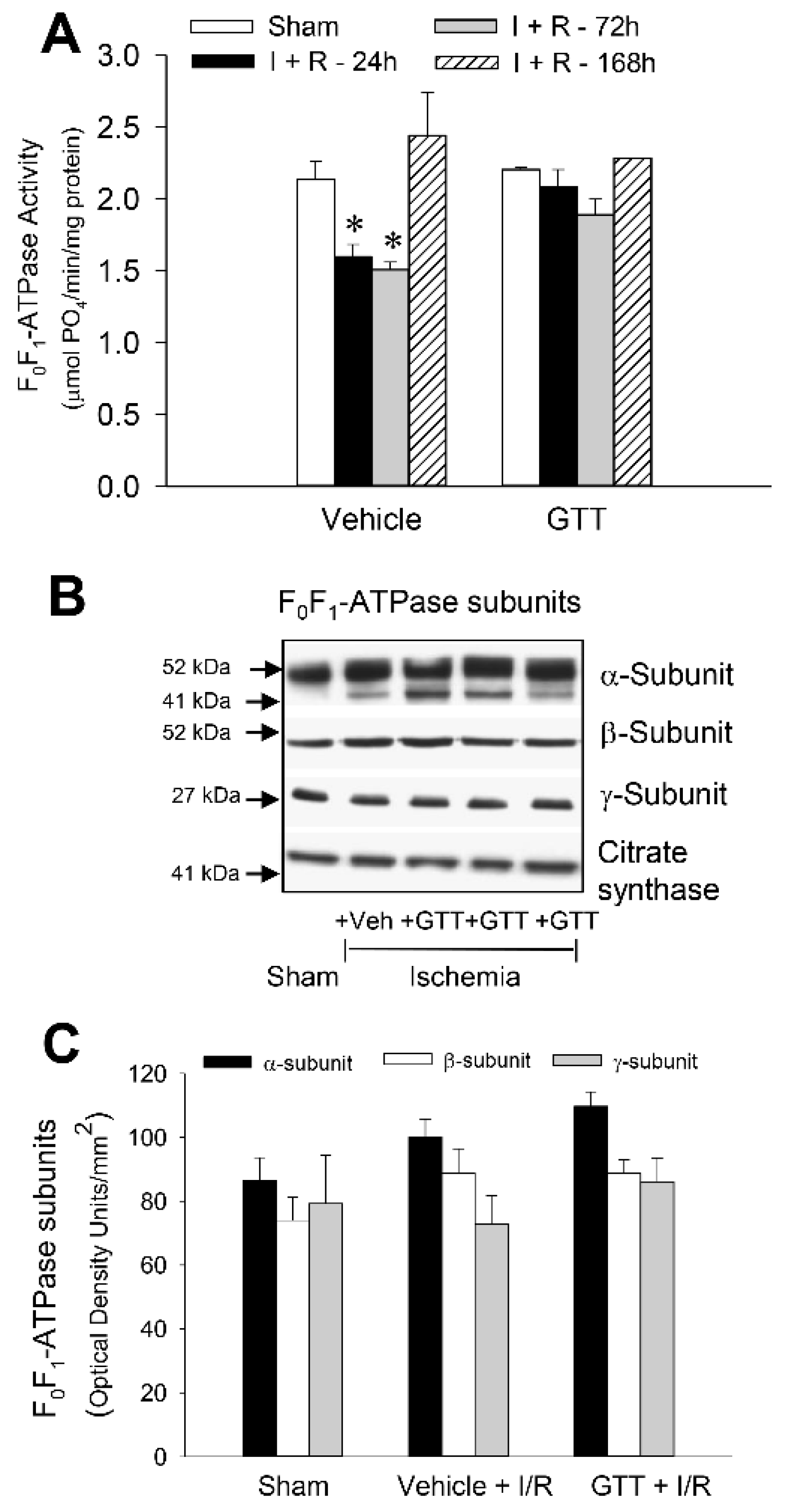 Ijms 22 12674 g009 550