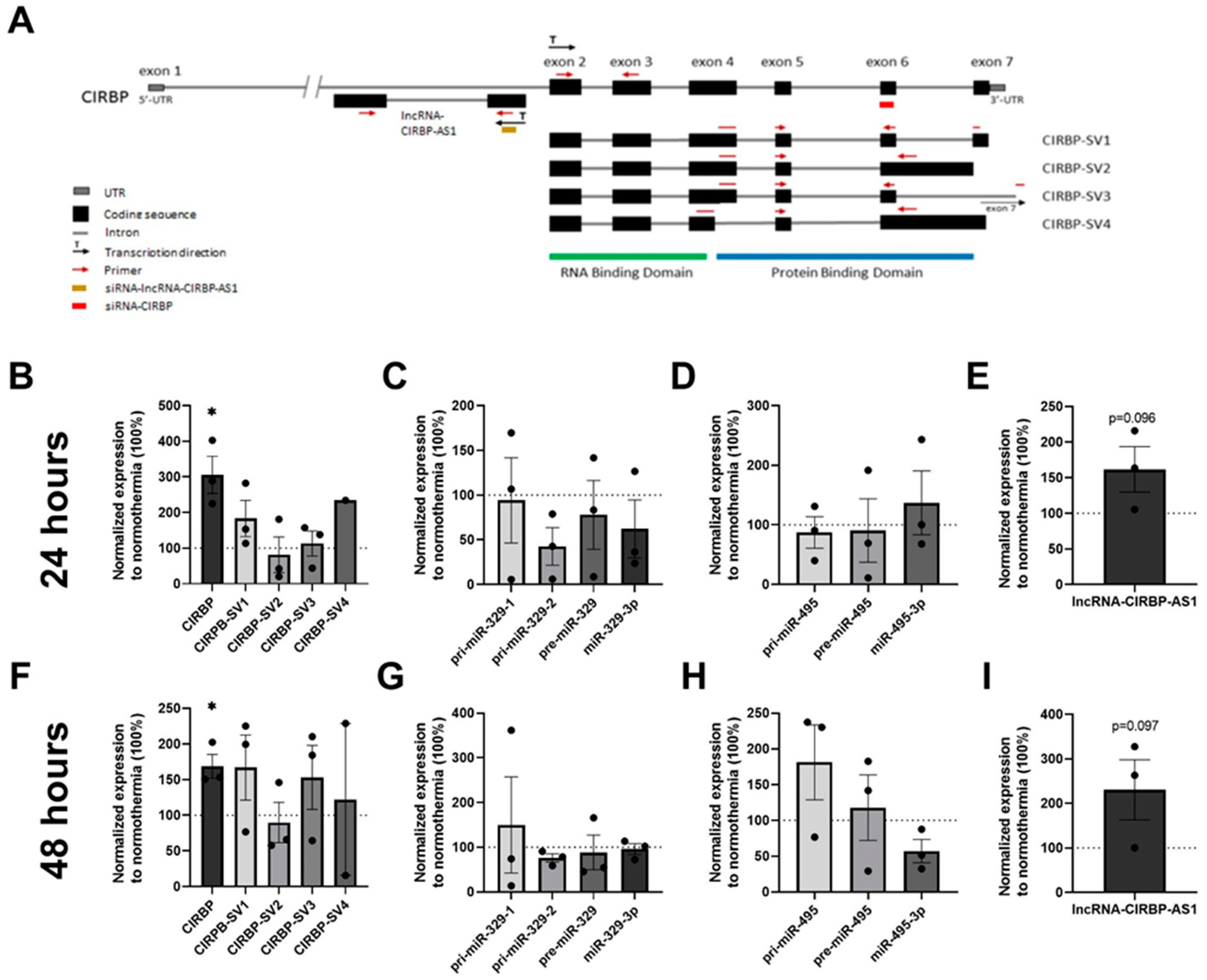 Ijms 22 12678 g004 550