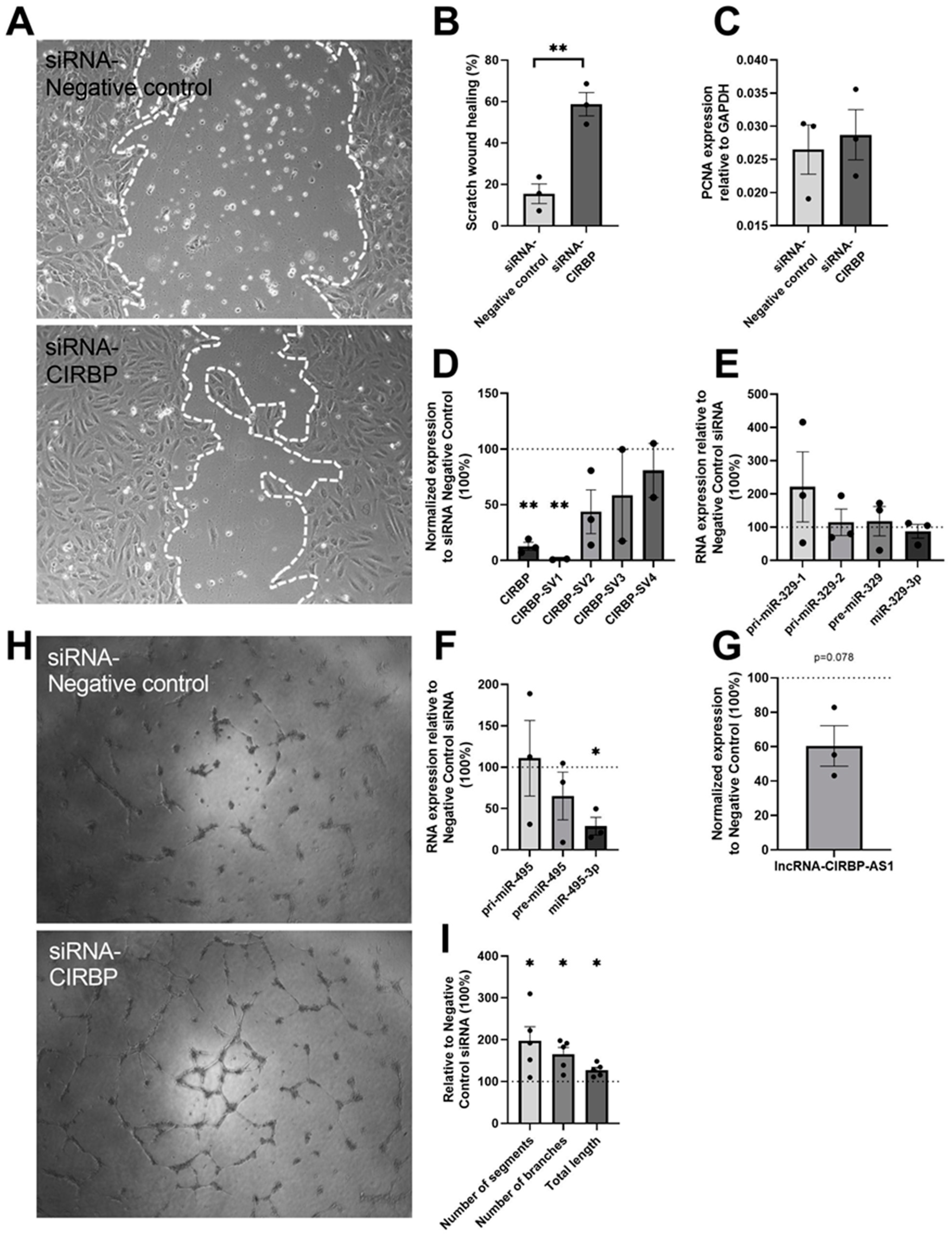 Ijms 22 12678 g005 550