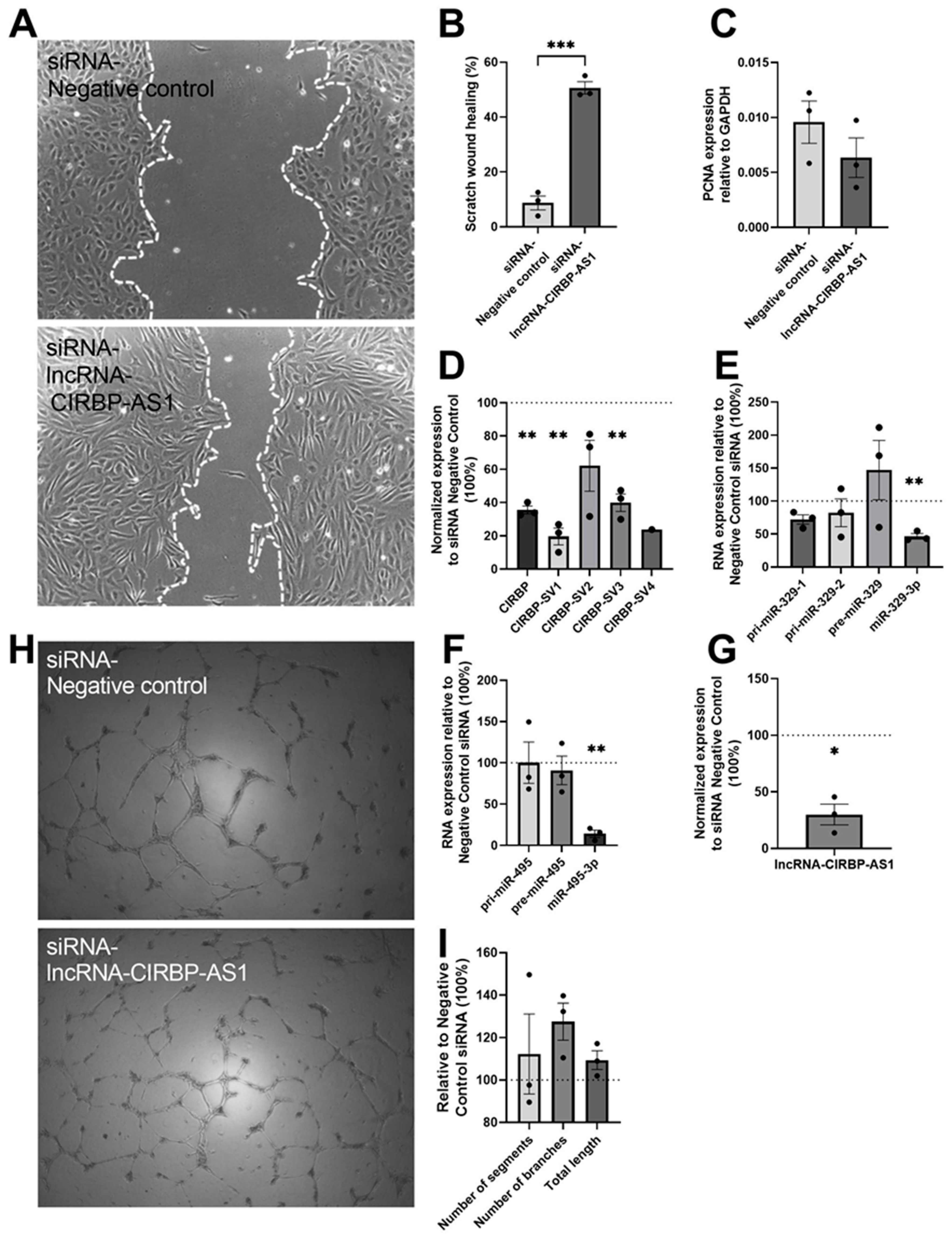 Ijms 22 12678 g006 550