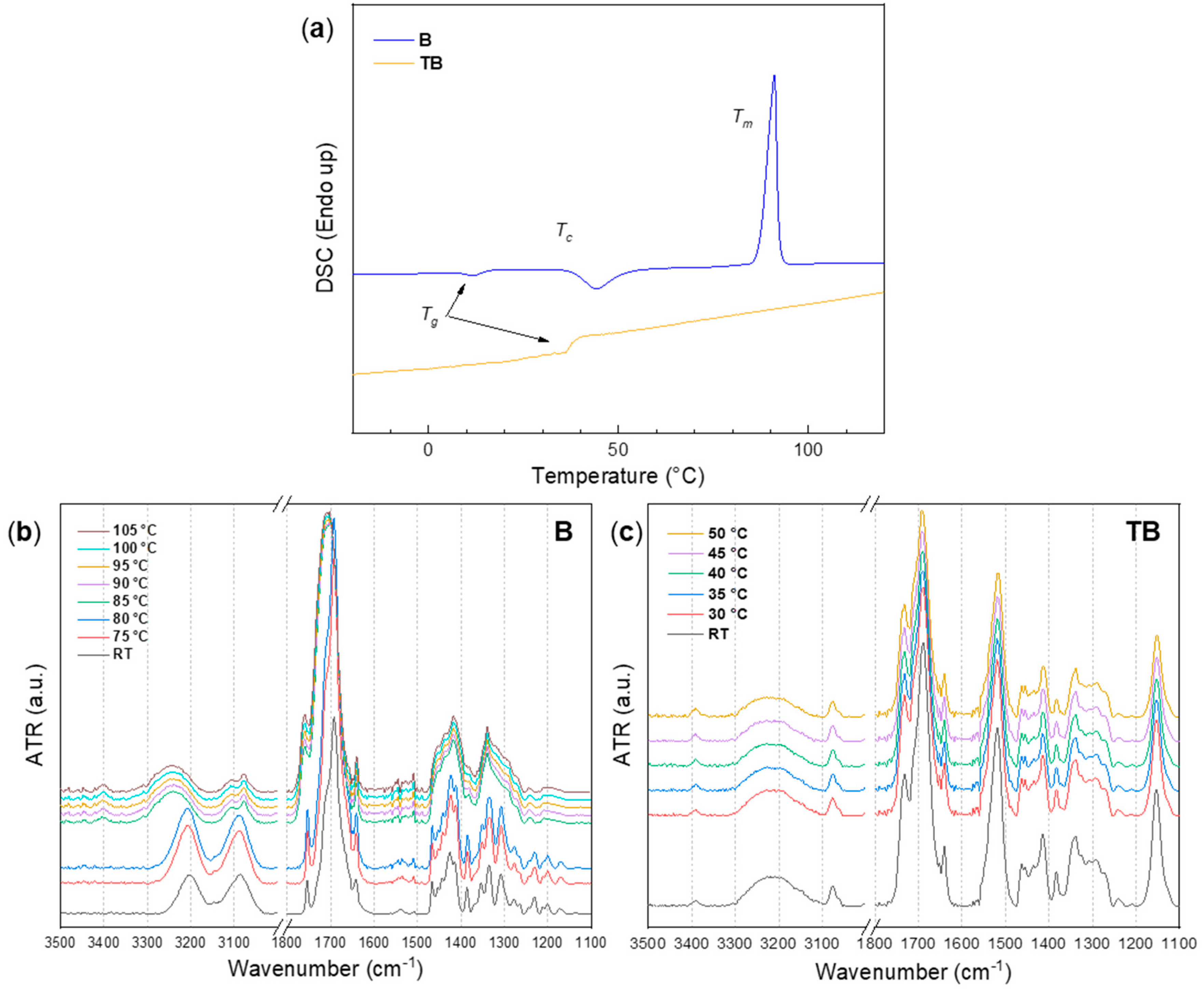 Ijms 22 12679 g003 550