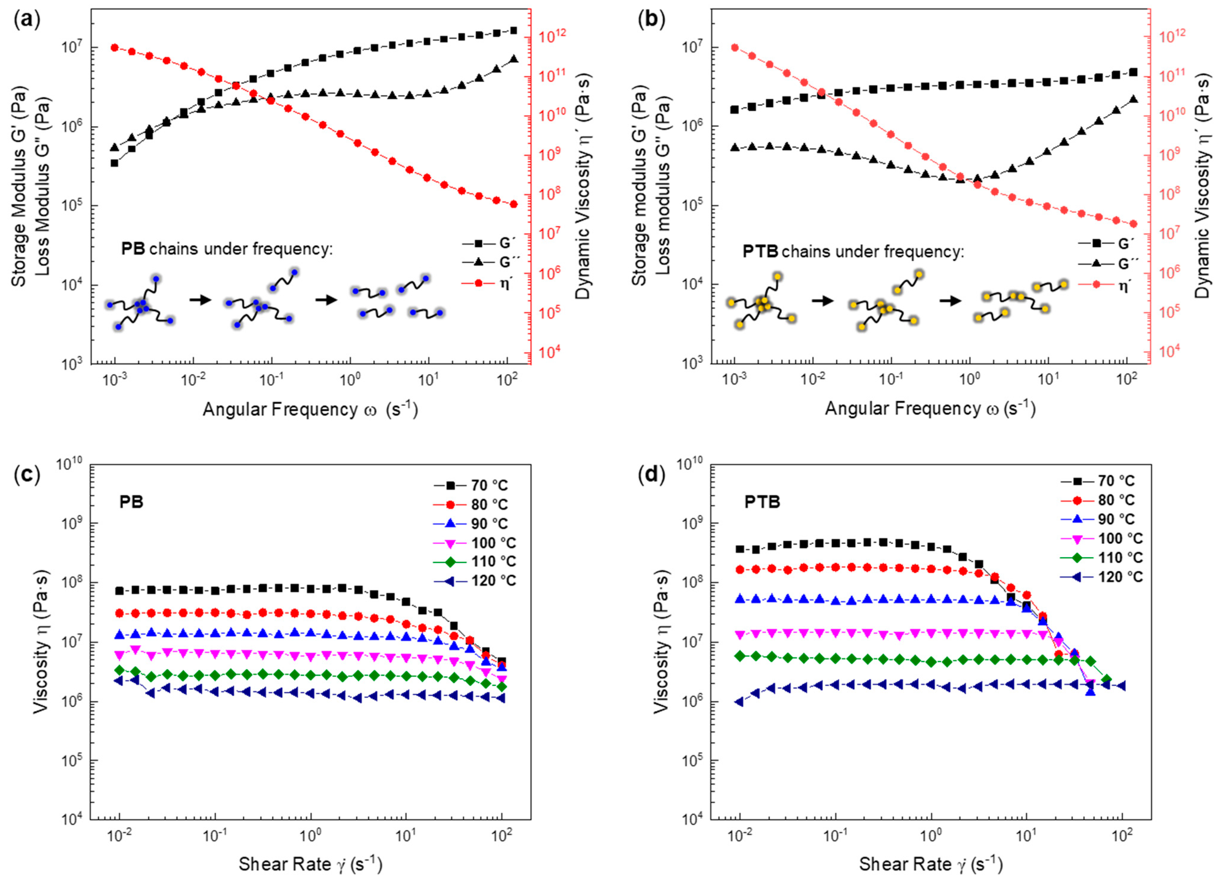 Ijms 22 12679 g005 550