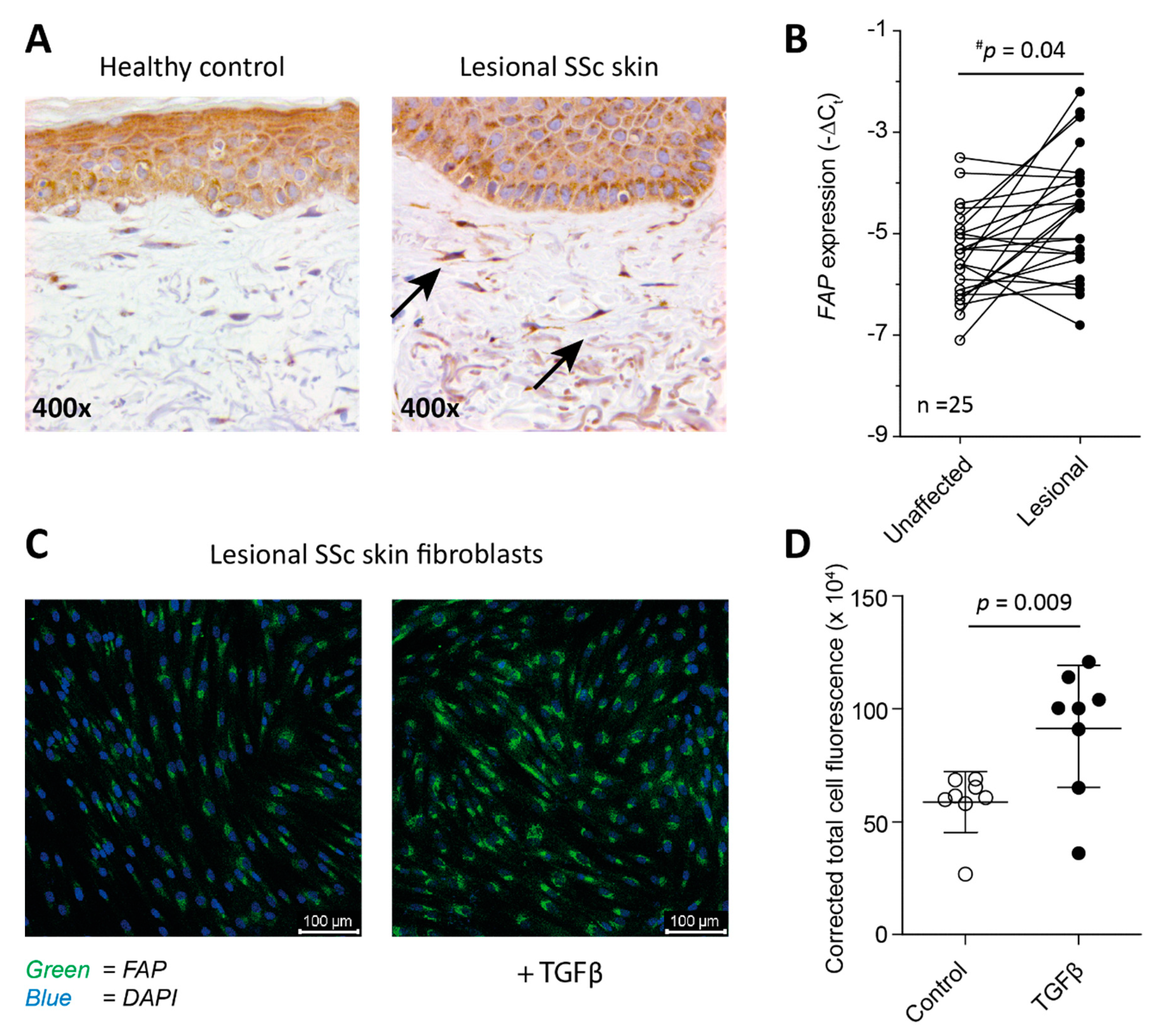 Ijms 22 12681 g001 550