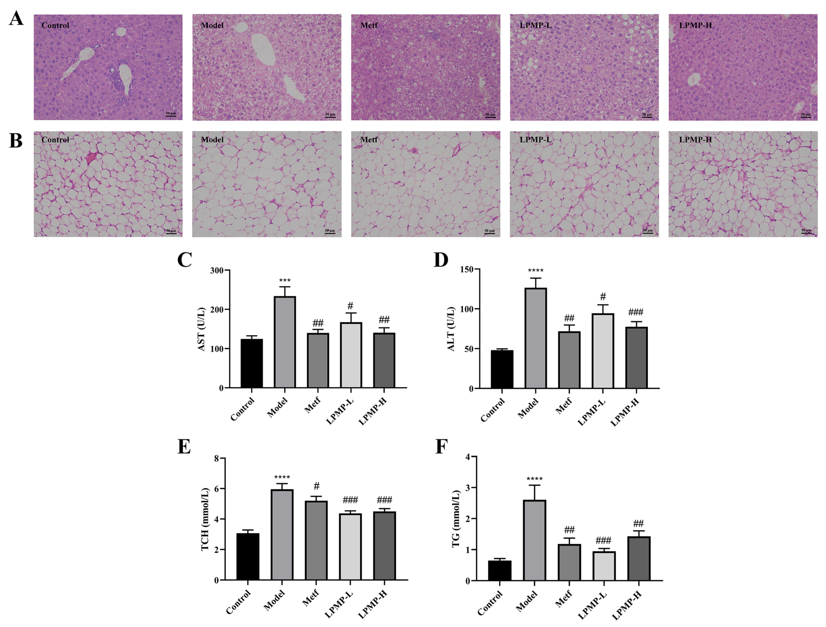 Ijms 22 12693 g009 550