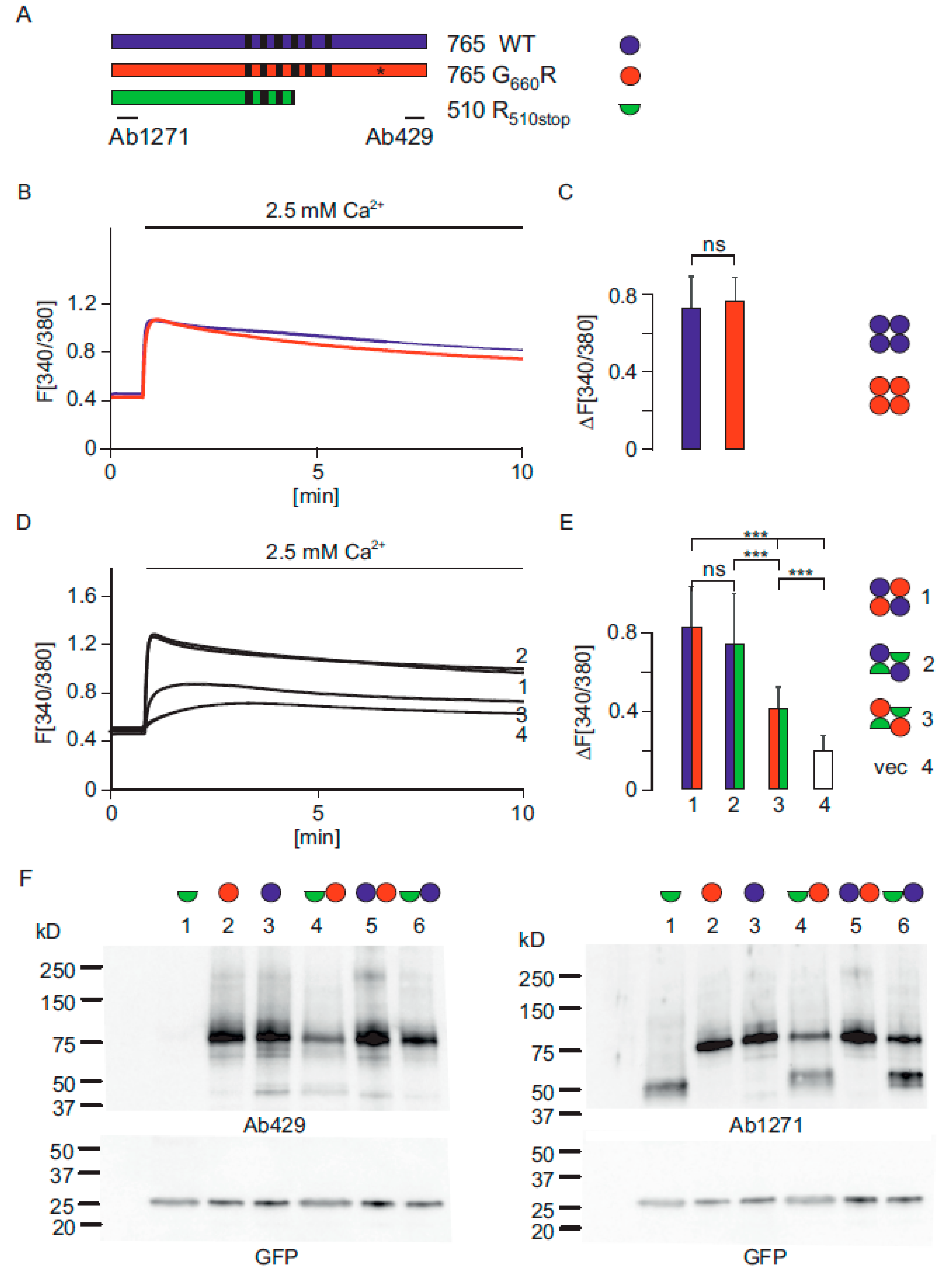Ijms 22 12694 g001 550