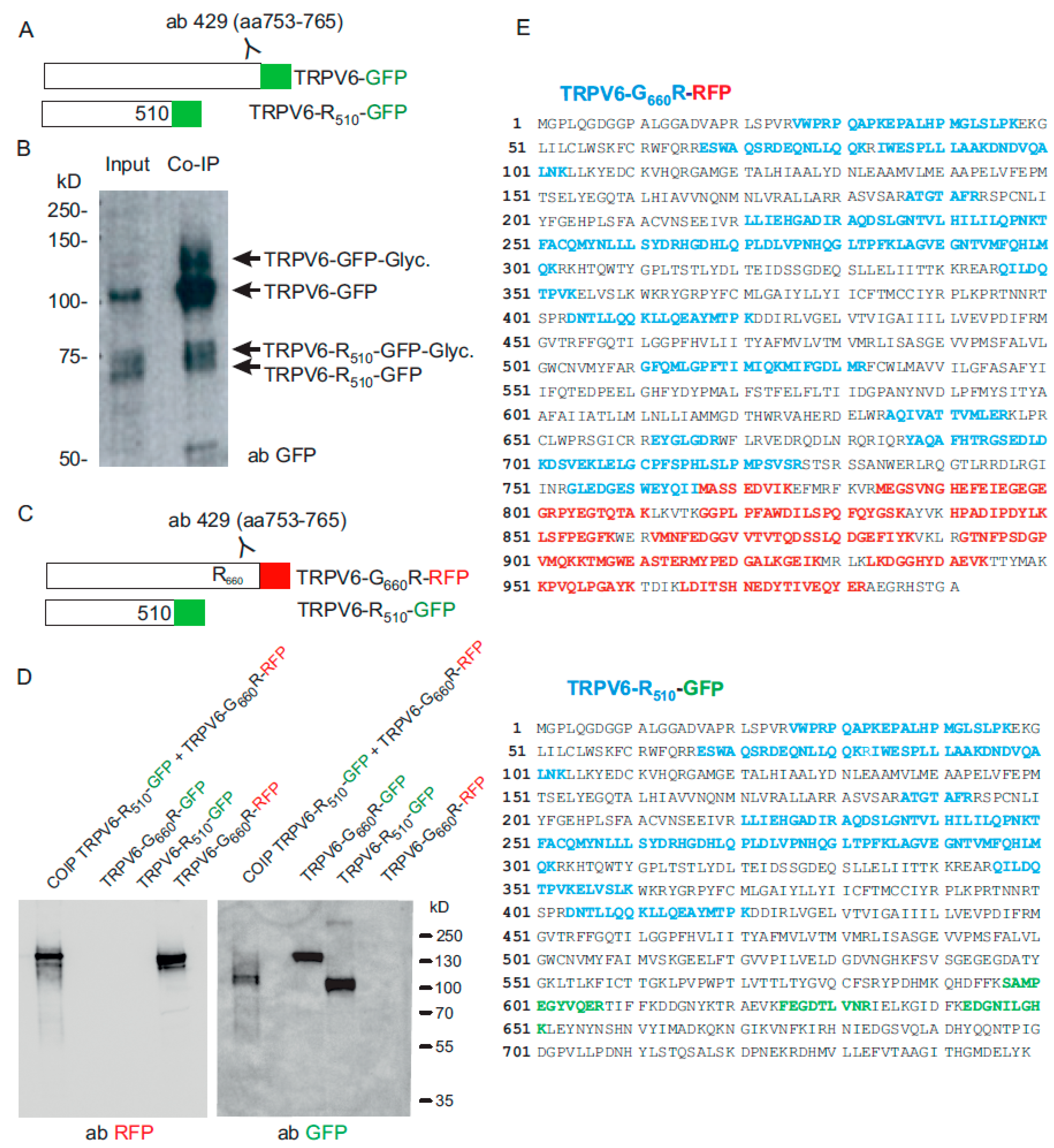Ijms 22 12694 g003 550