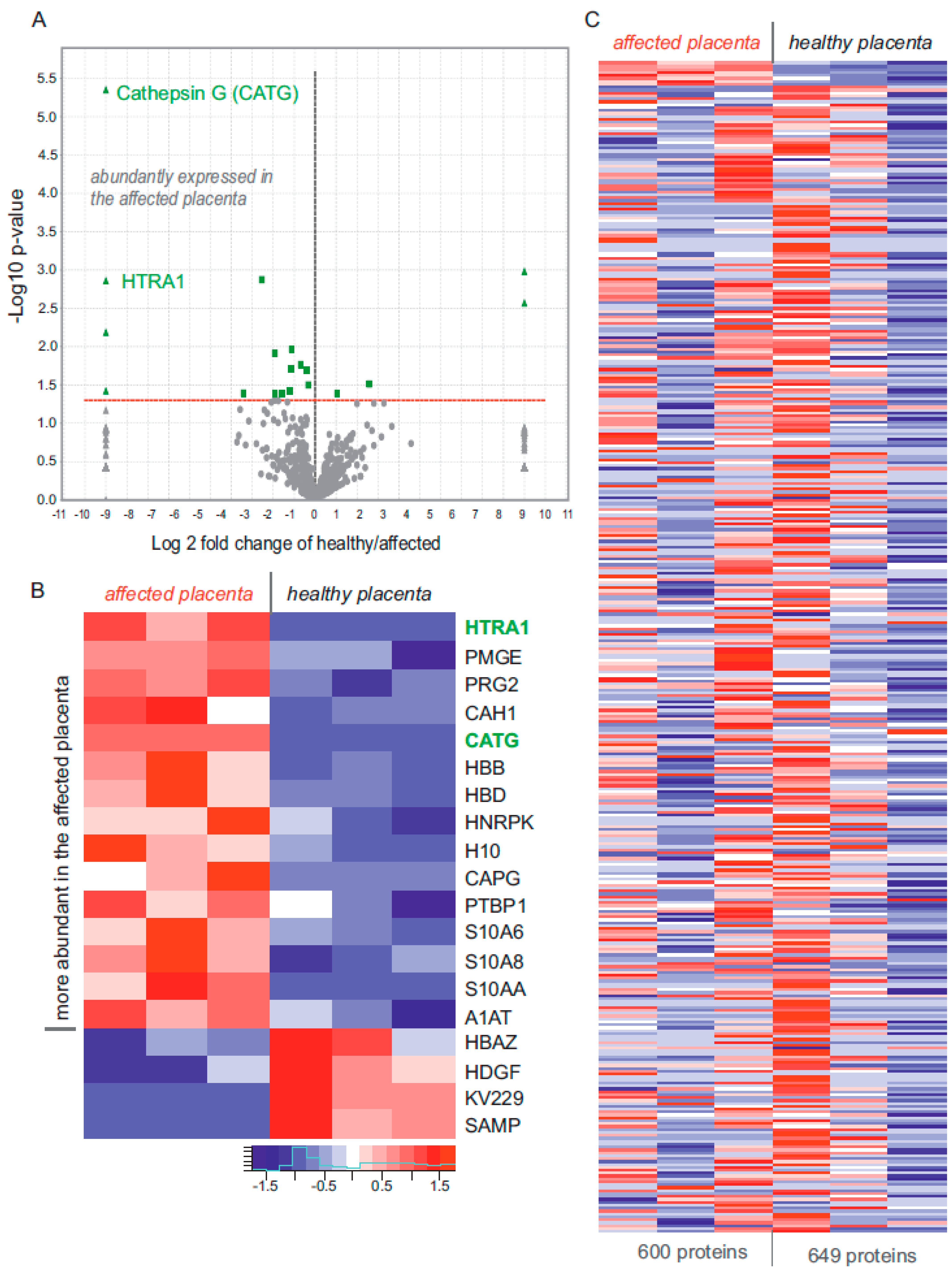 Ijms 22 12694 g005 550