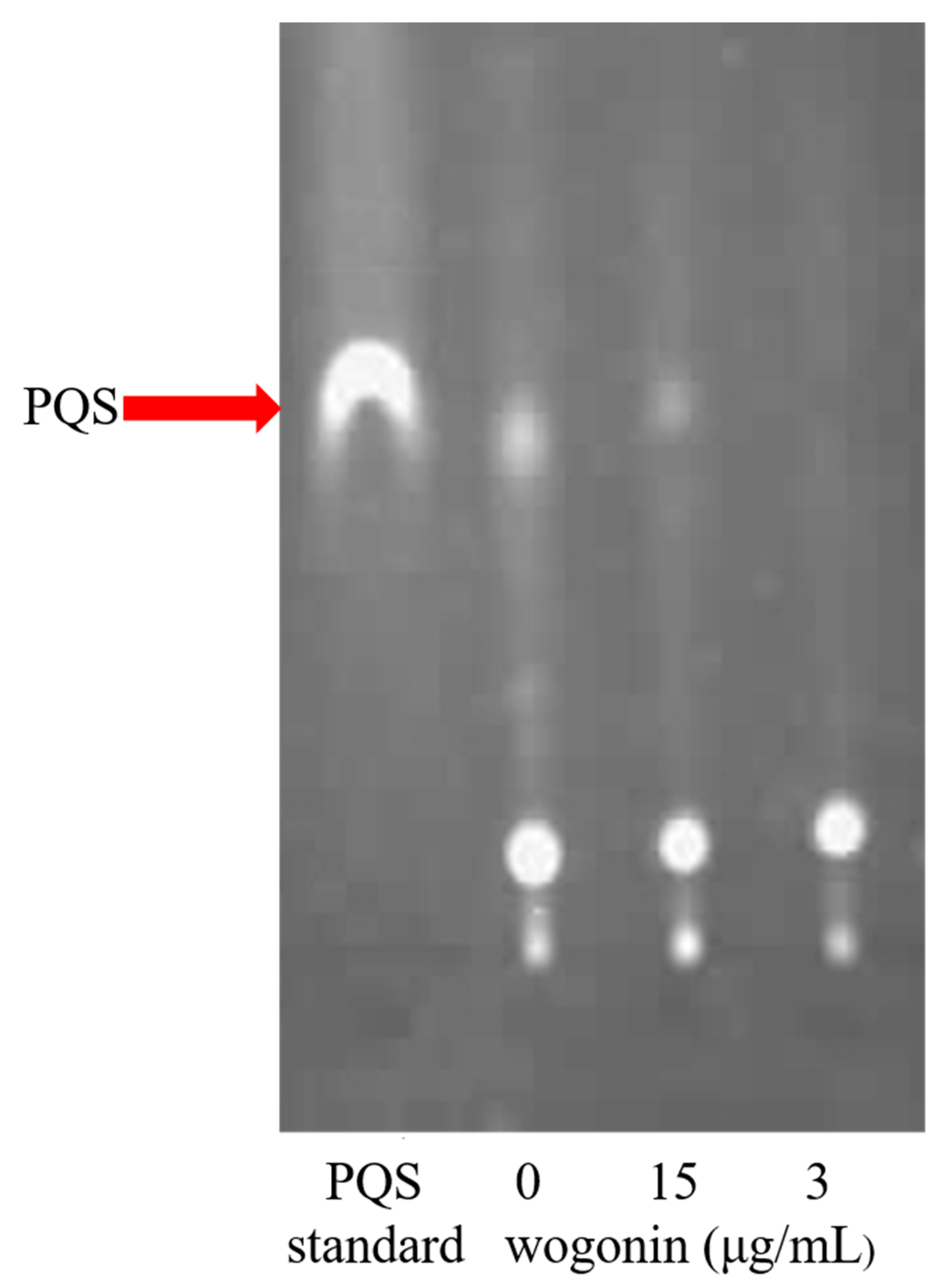 Ijms 22 12699 g007 550