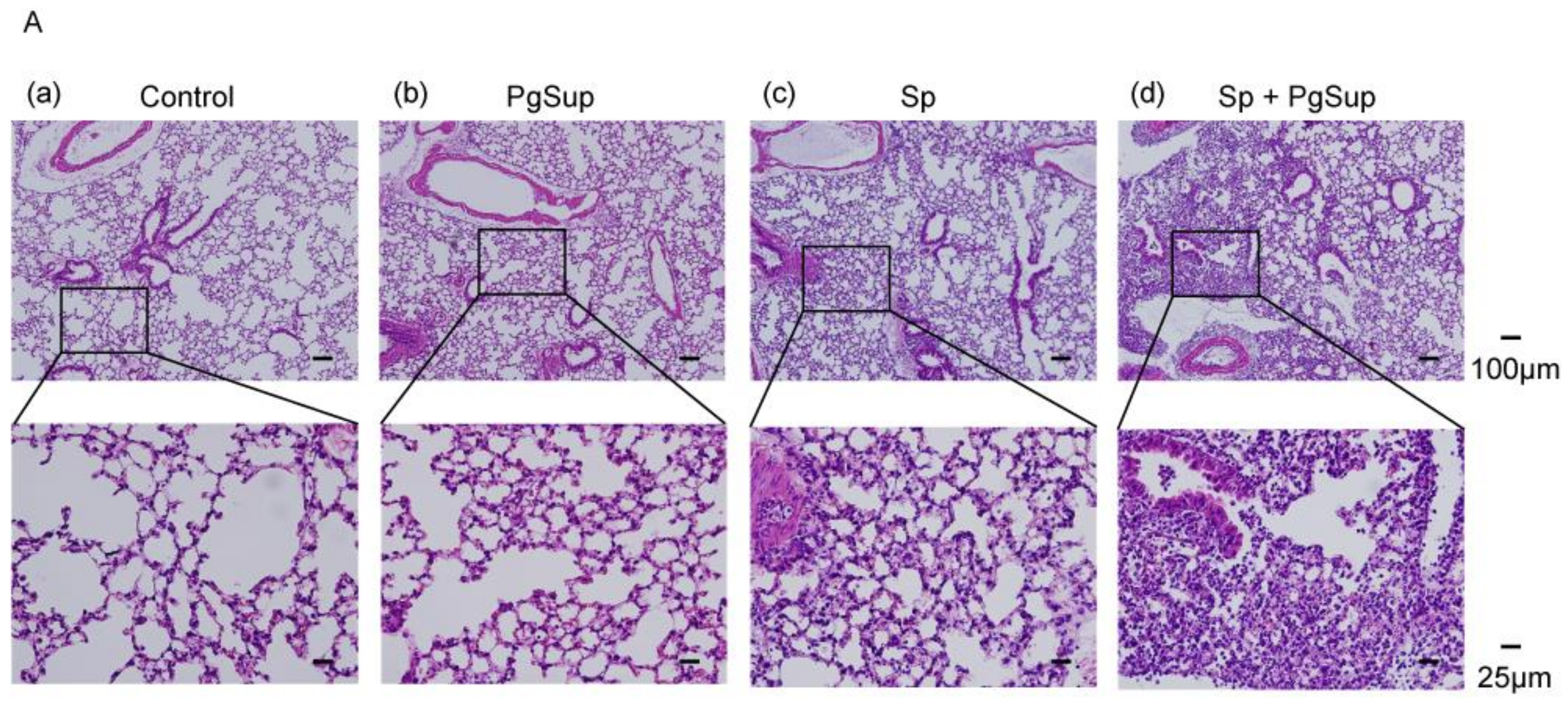 Ijms 22 12704 g001a 550