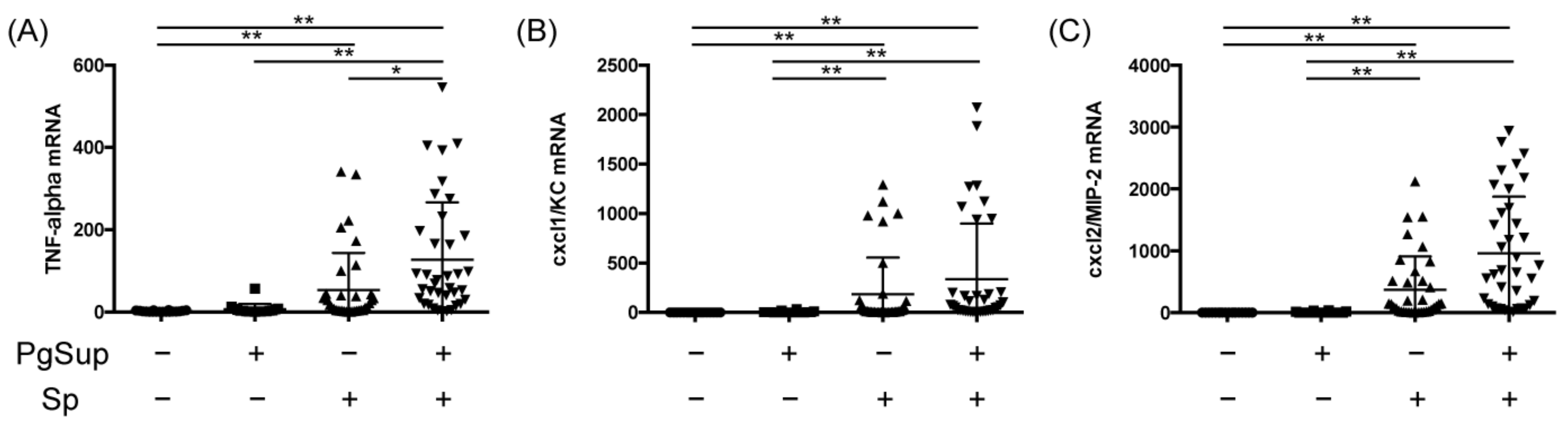 Ijms 22 12704 g003 550