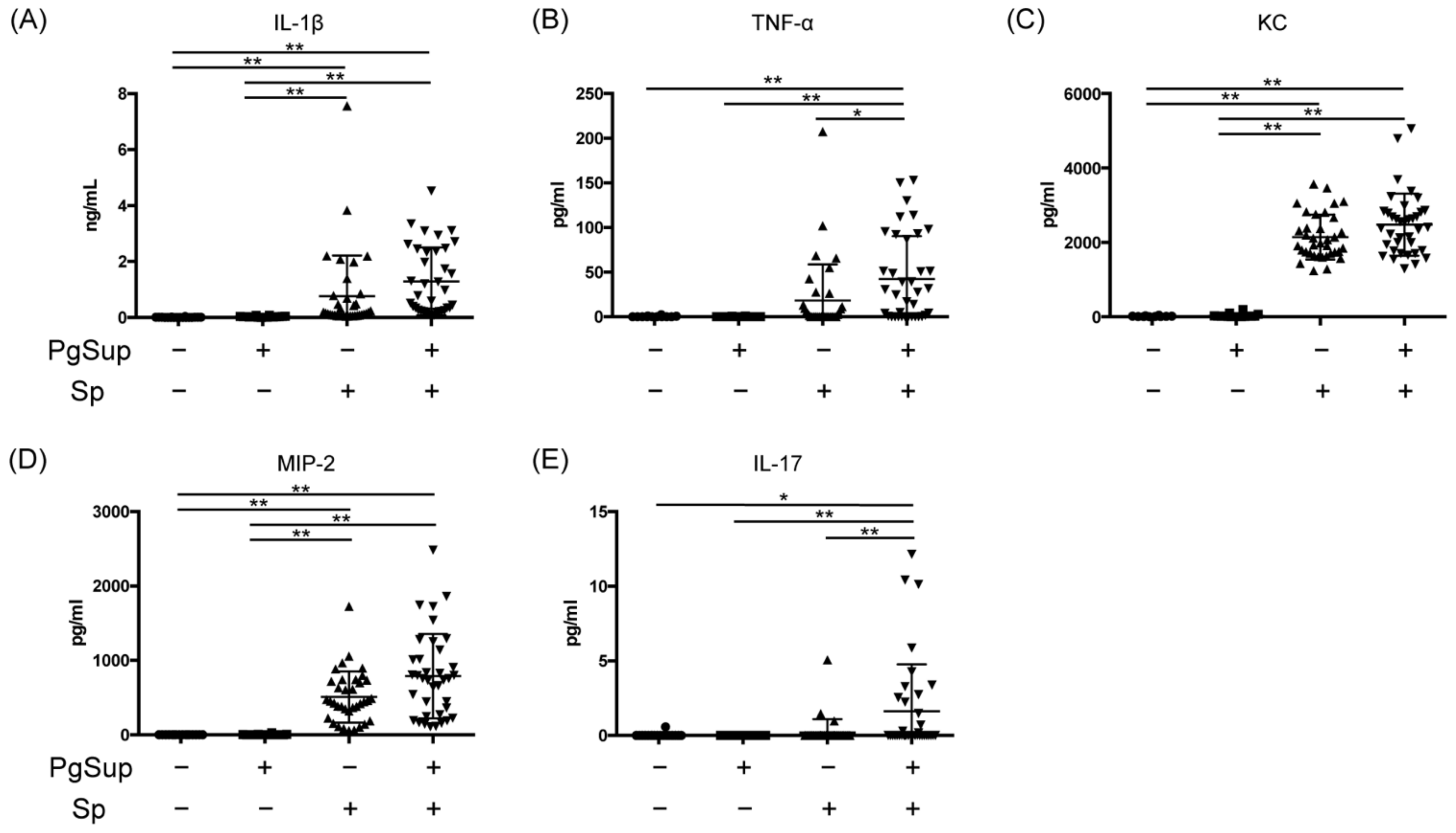 Ijms 22 12704 g004 550