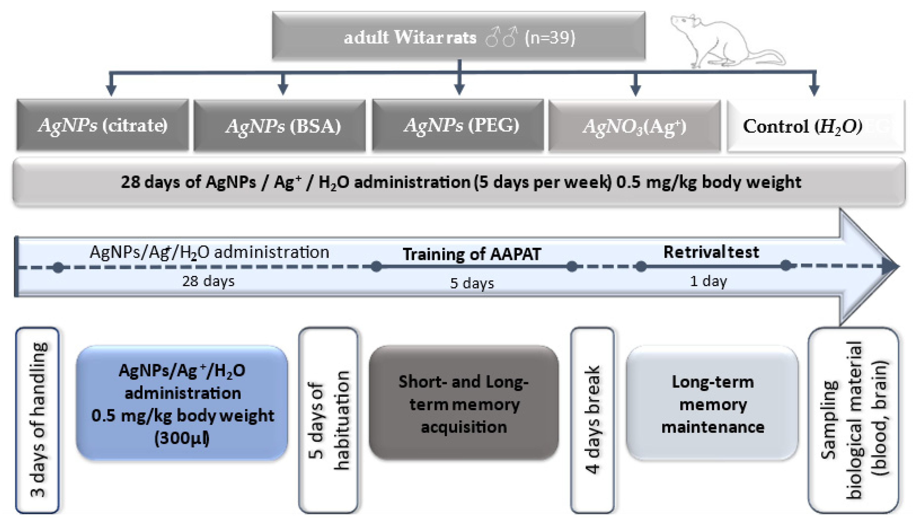 Ijms 22 12706 g006 550