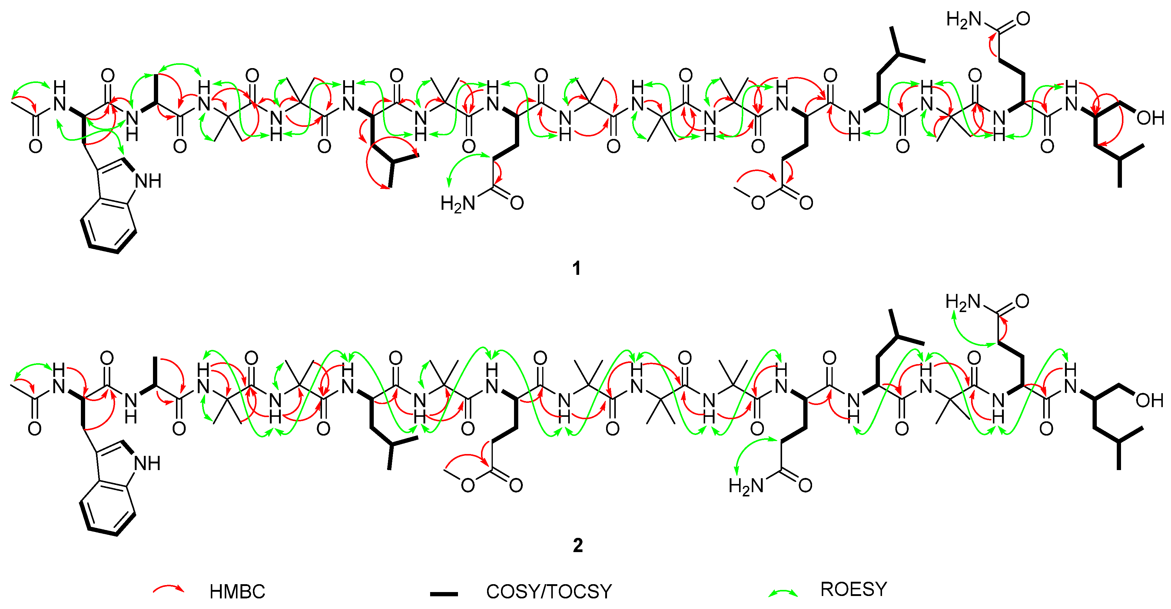 Ijms 22 12718 g004 Ijms 22 12718 g004