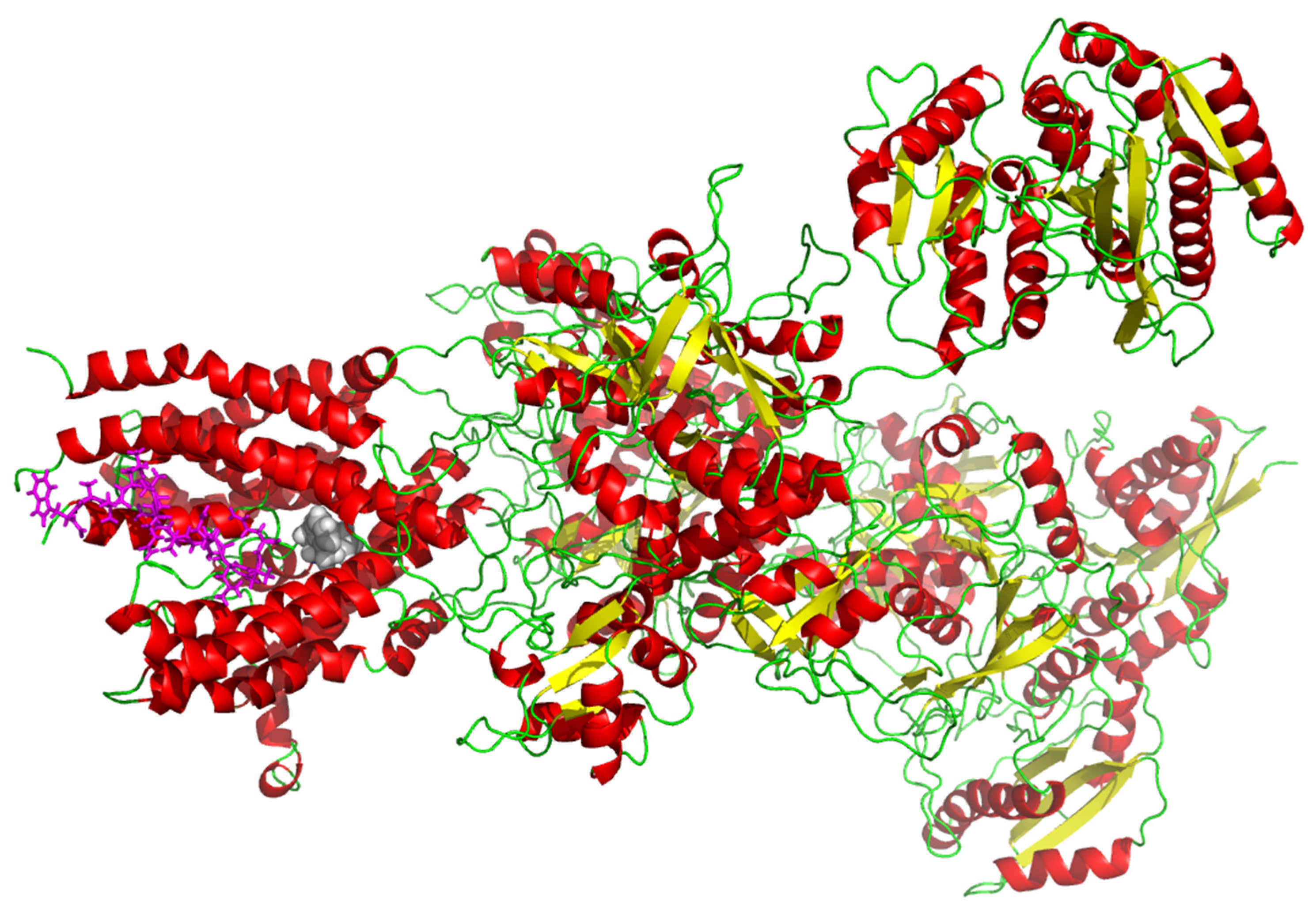 Ijms 22 12718 g006 Ijms 22 12718 g006