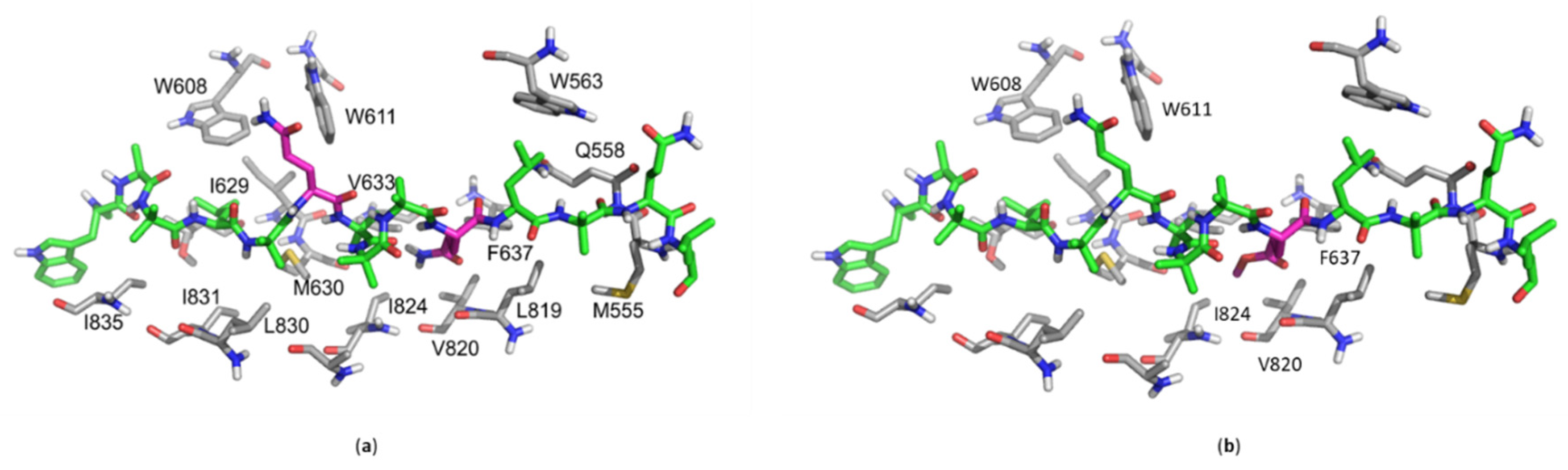 Ijms 22 12718 g008 Ijms 22 12718 g008