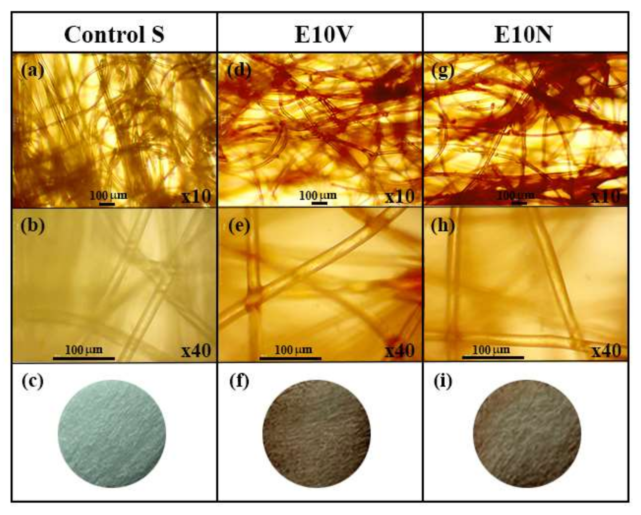 Ijms 22 12719 g001 550