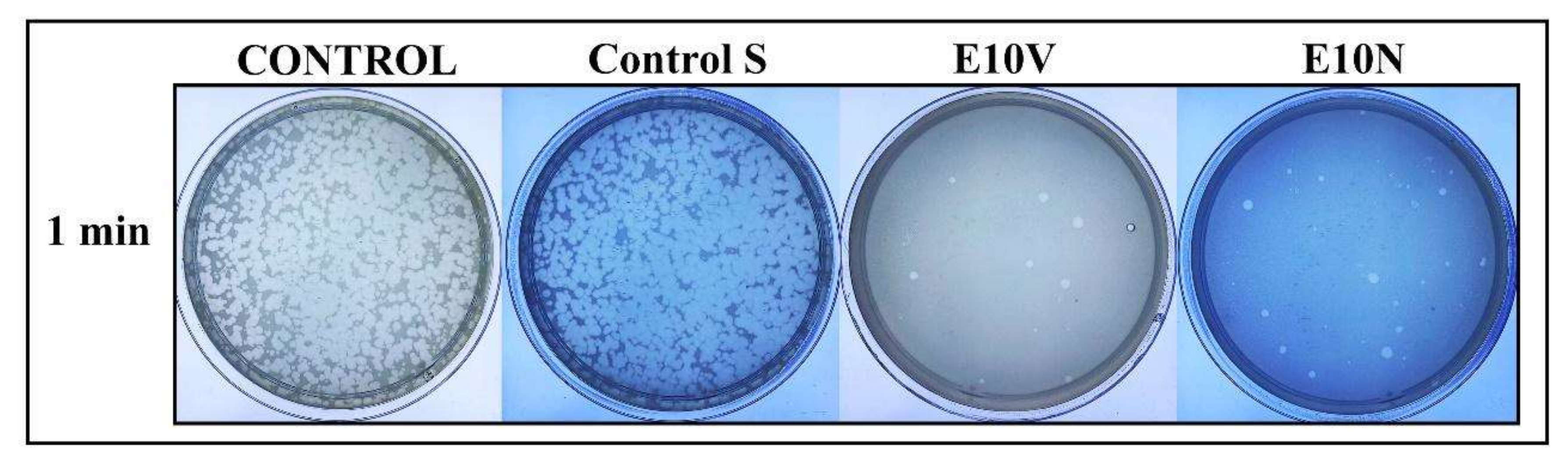 Ijms 22 12719 g005 550