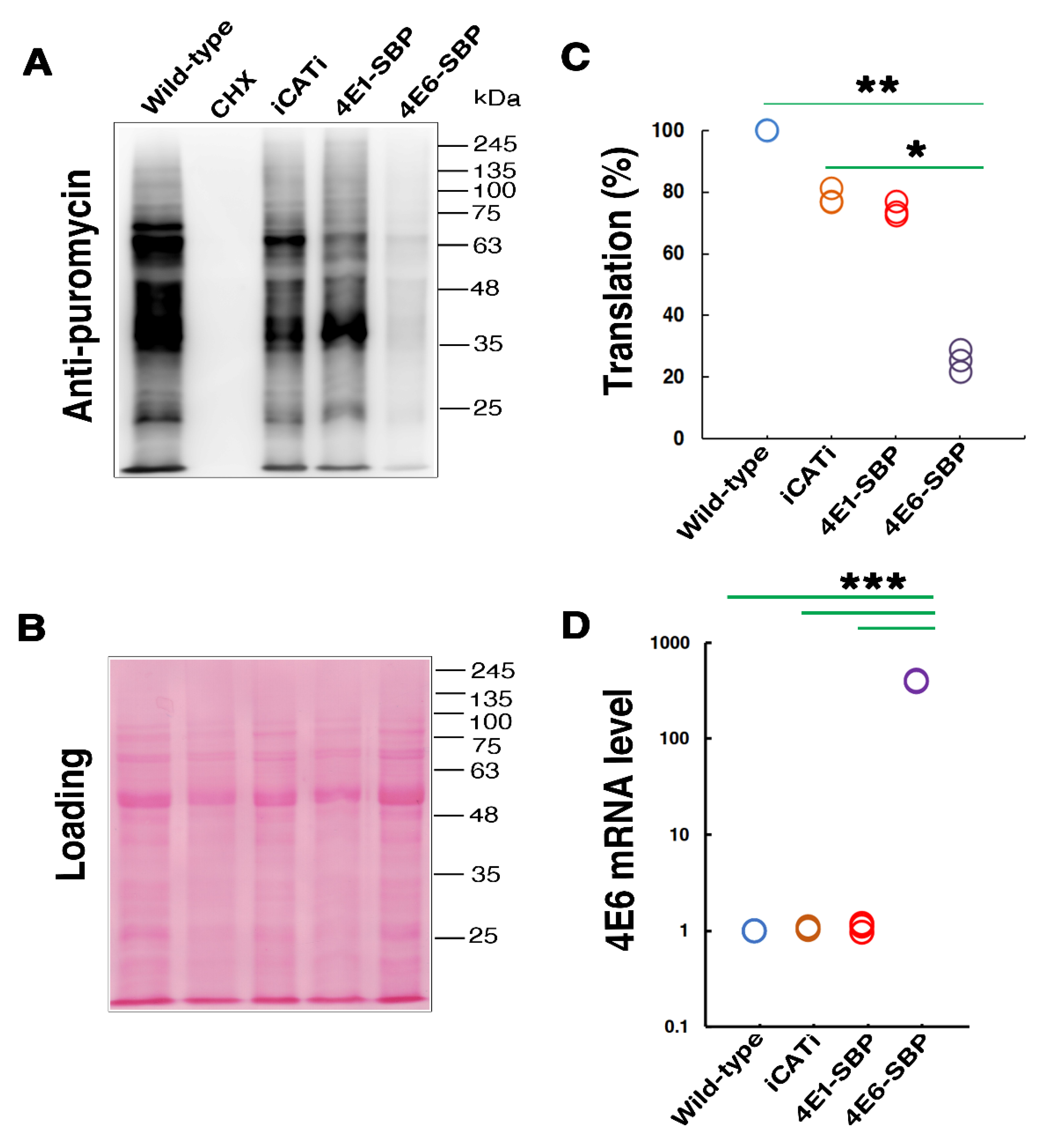 Ijms 22 12720 g003 550