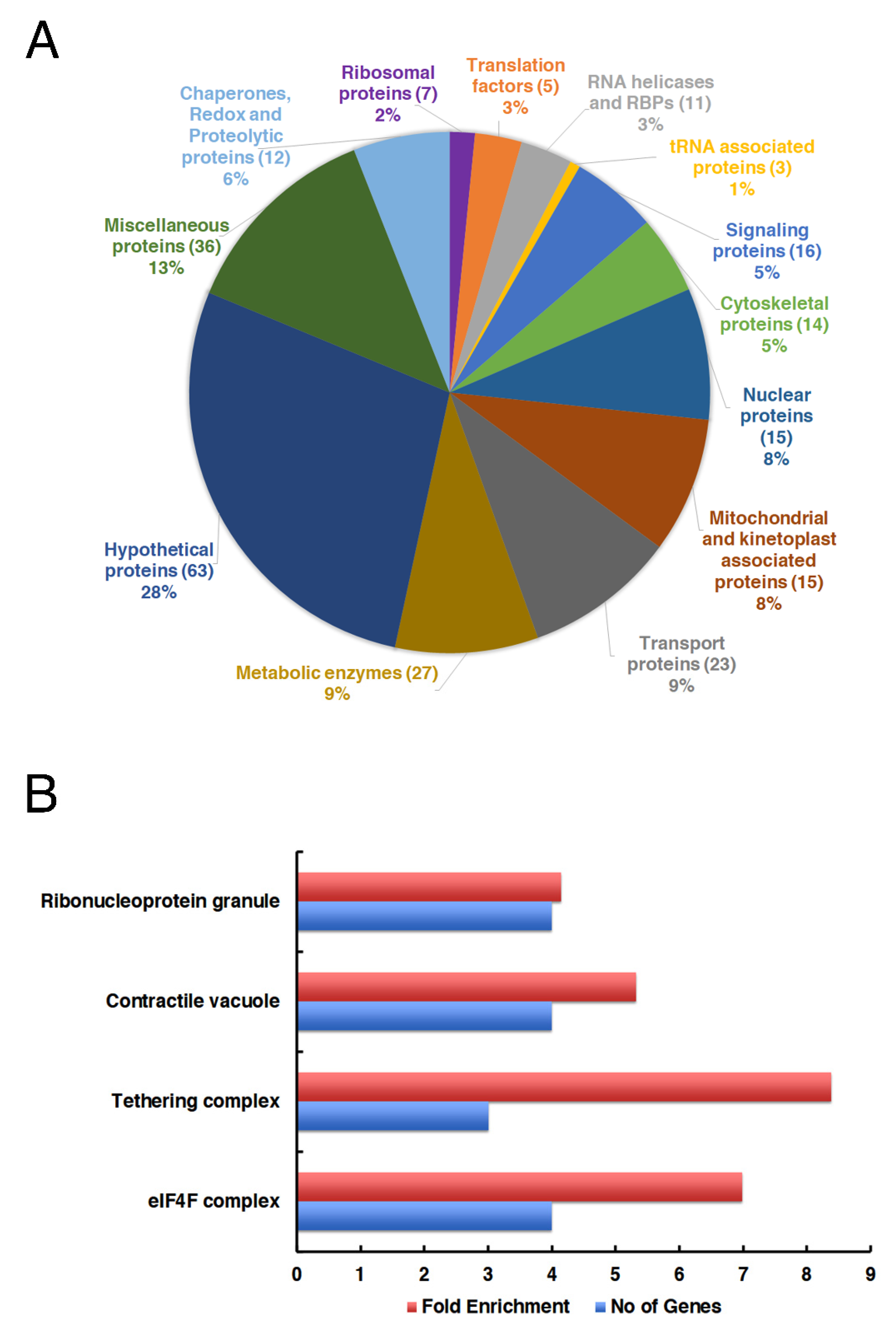 Ijms 22 12720 g005 550
