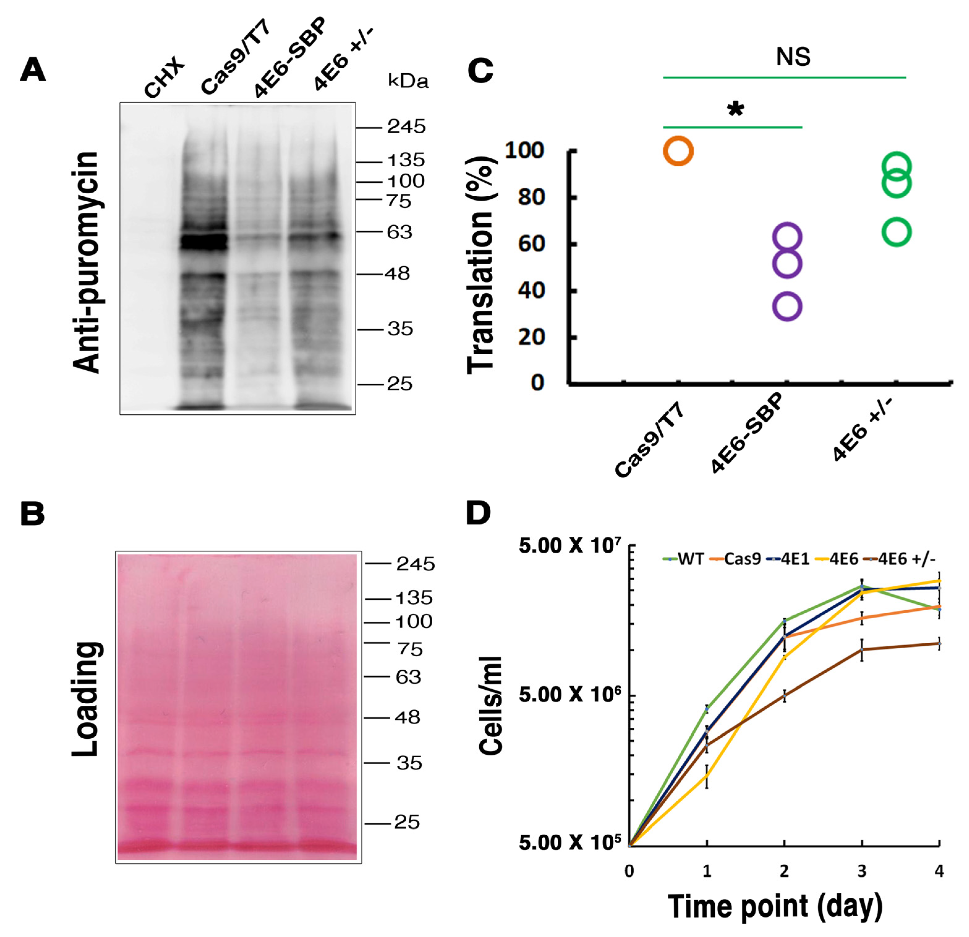 Ijms 22 12720 g008 550