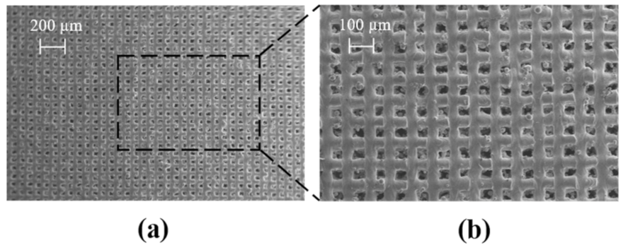 Ijms 22 12721 g009 550