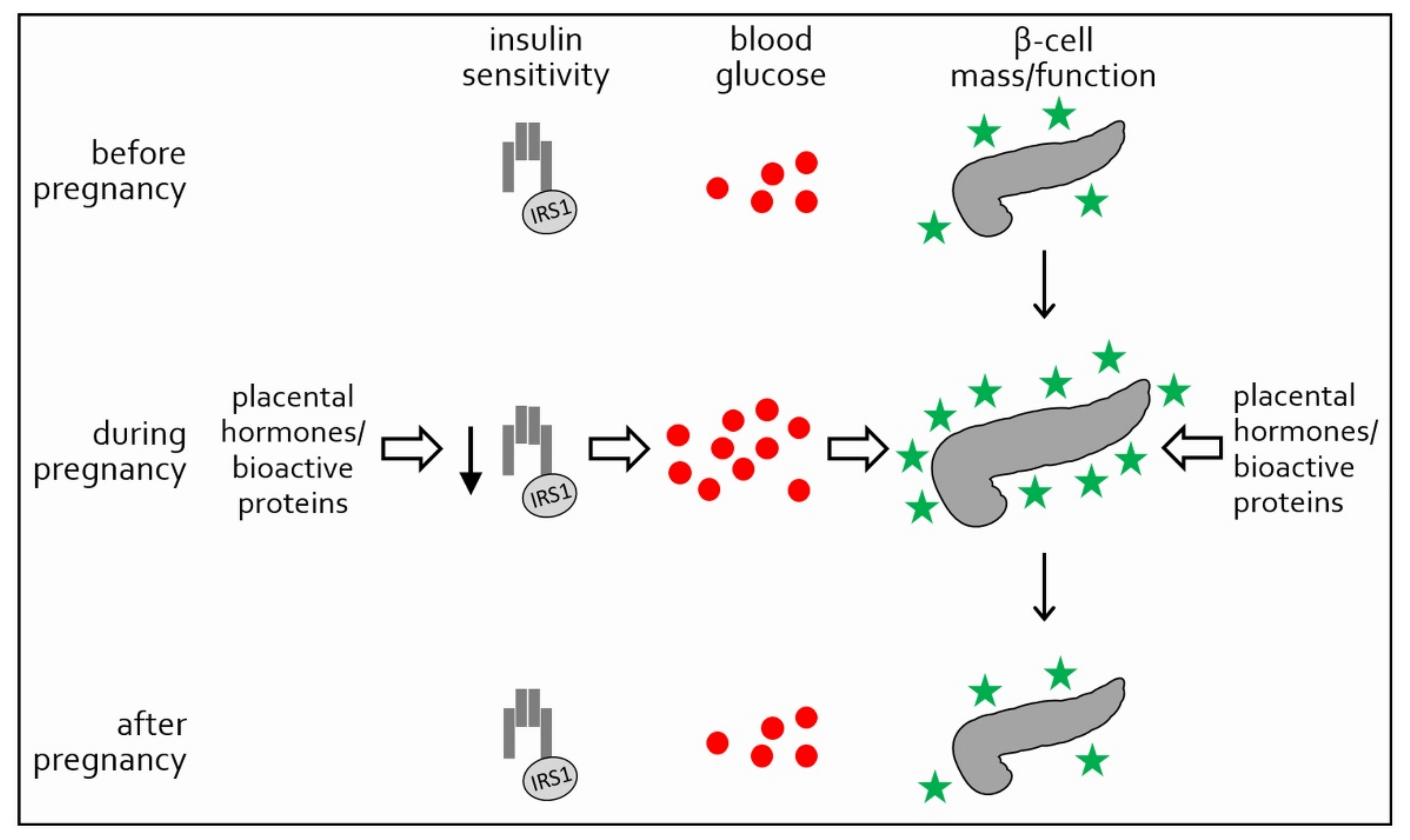 retained placental fragments pathophysiology of diabetes