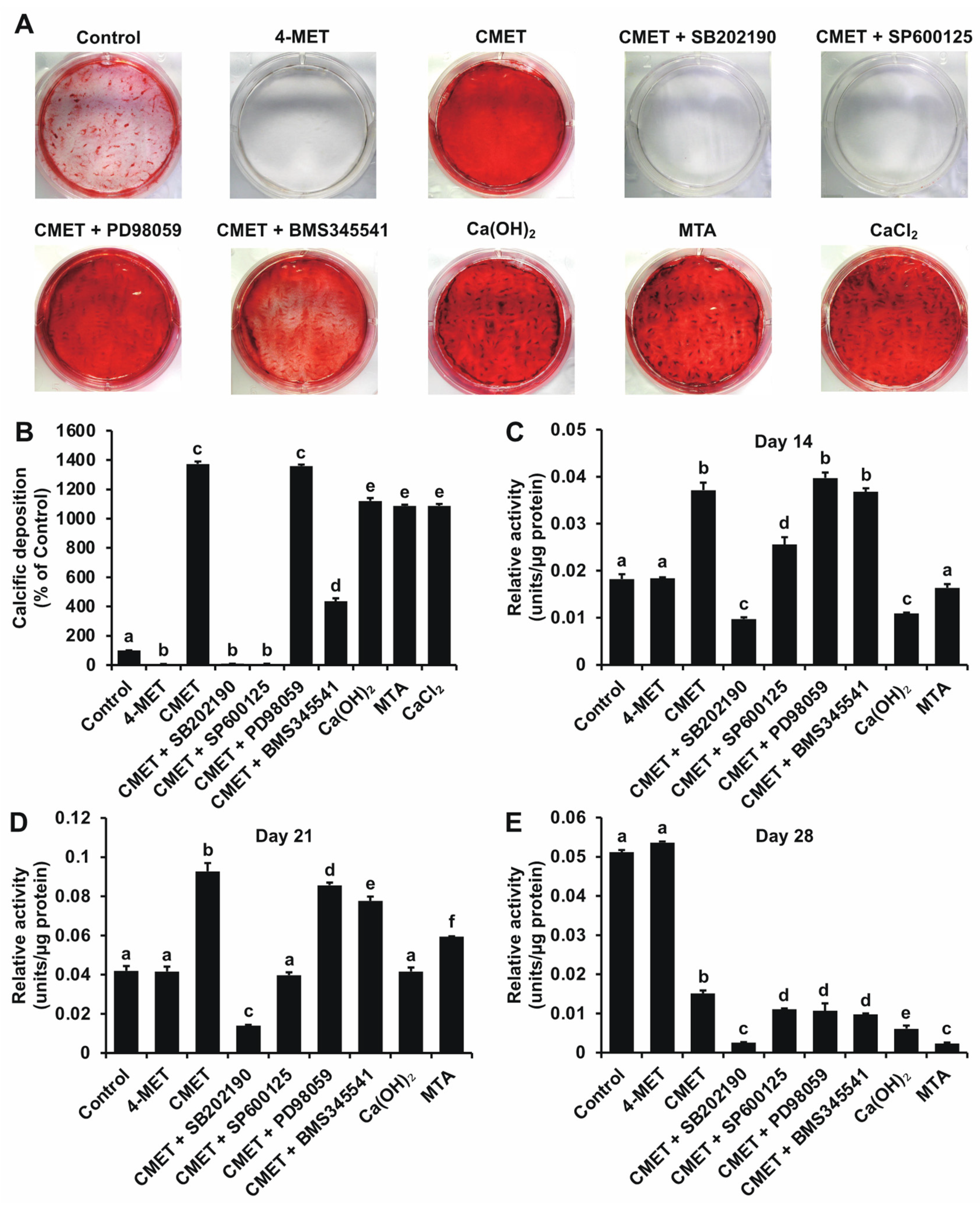 Ijms 22 12728 g002 Ijms 22 12728 g002