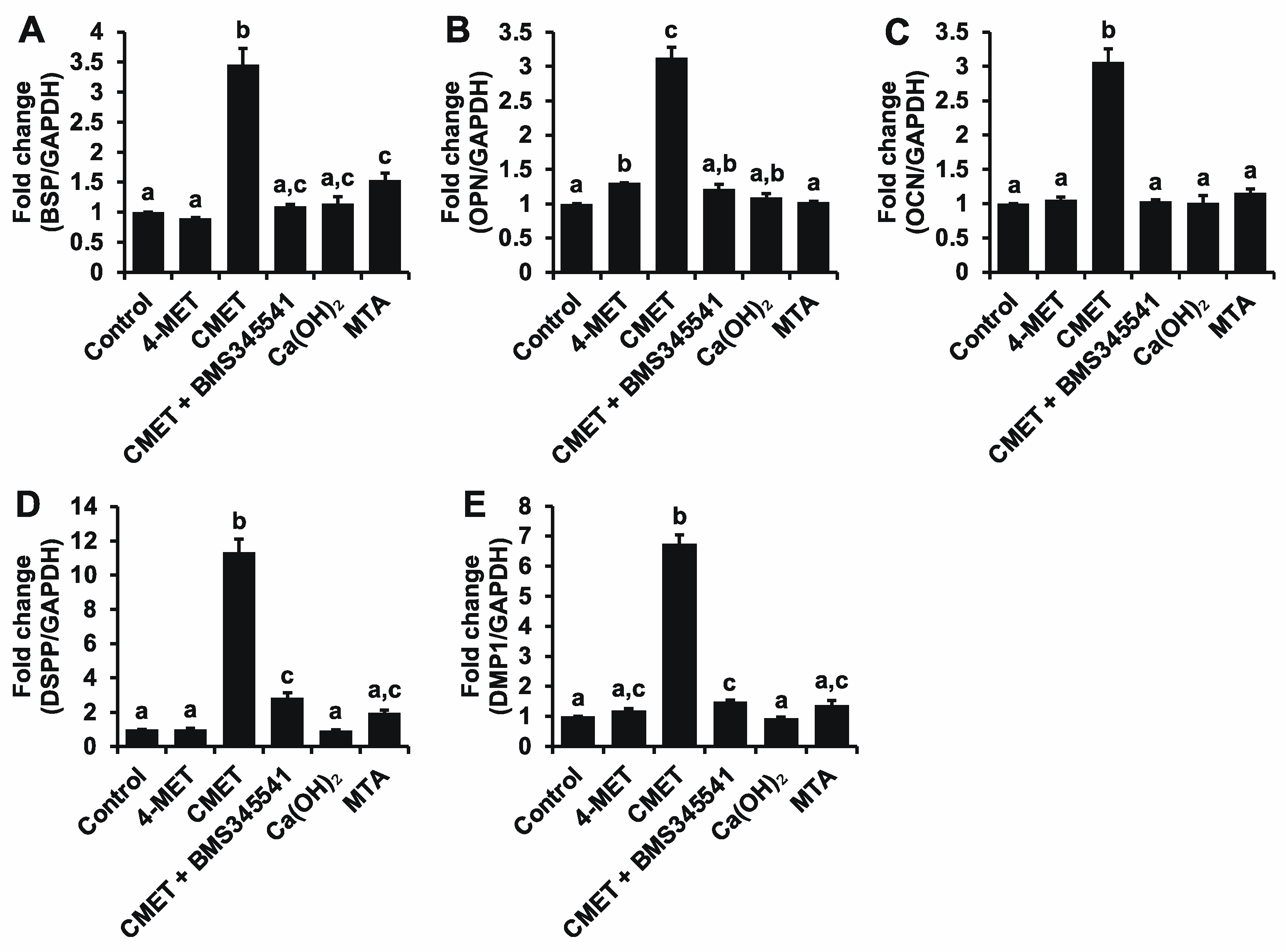 Ijms 22 12728 g003 Ijms 22 12728 g003