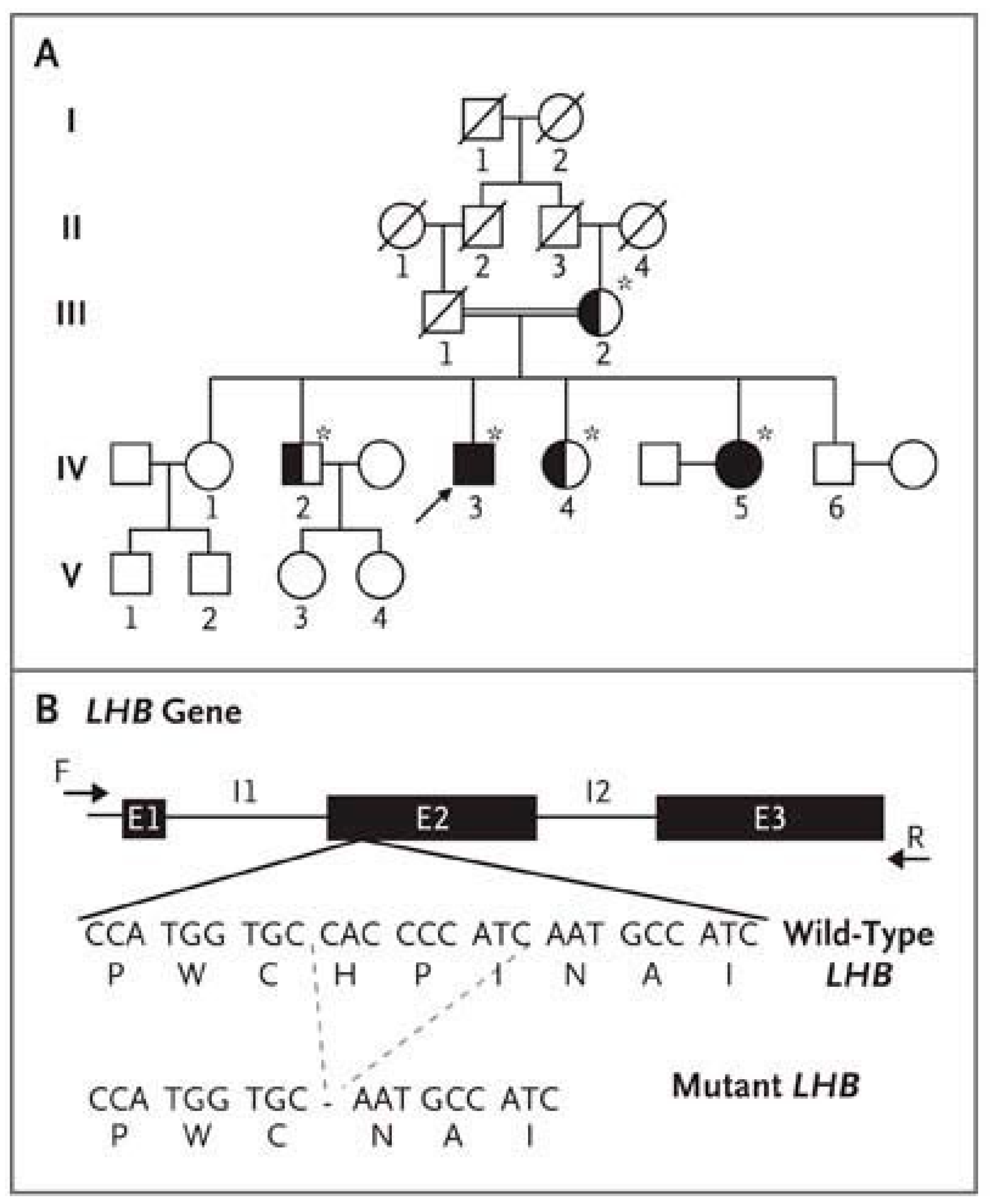 Ijms 22 12735 g002