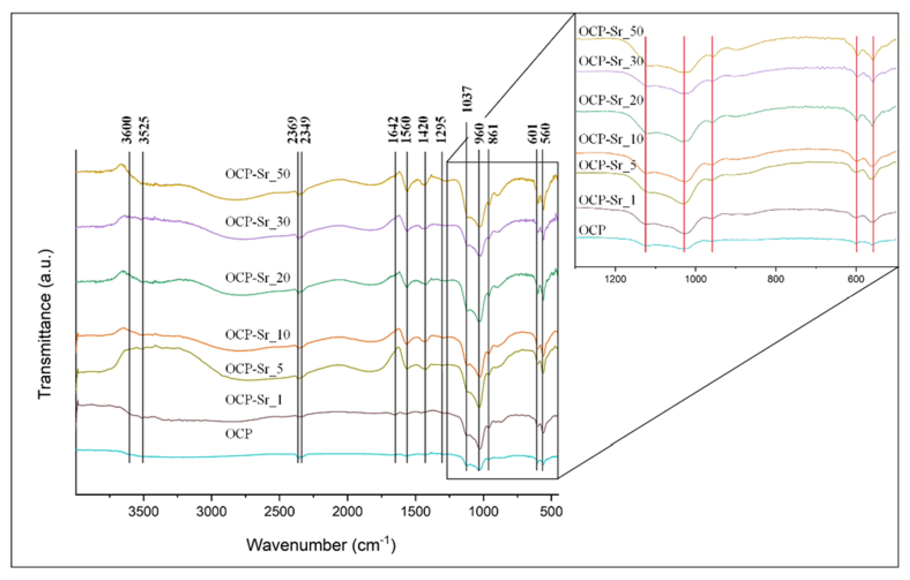 Ijms 22 12747 g002 550