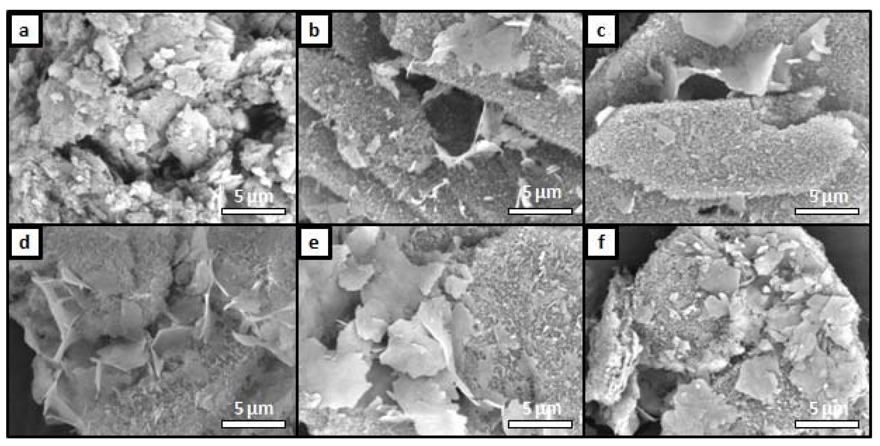 Ijms 22 12747 g003 550