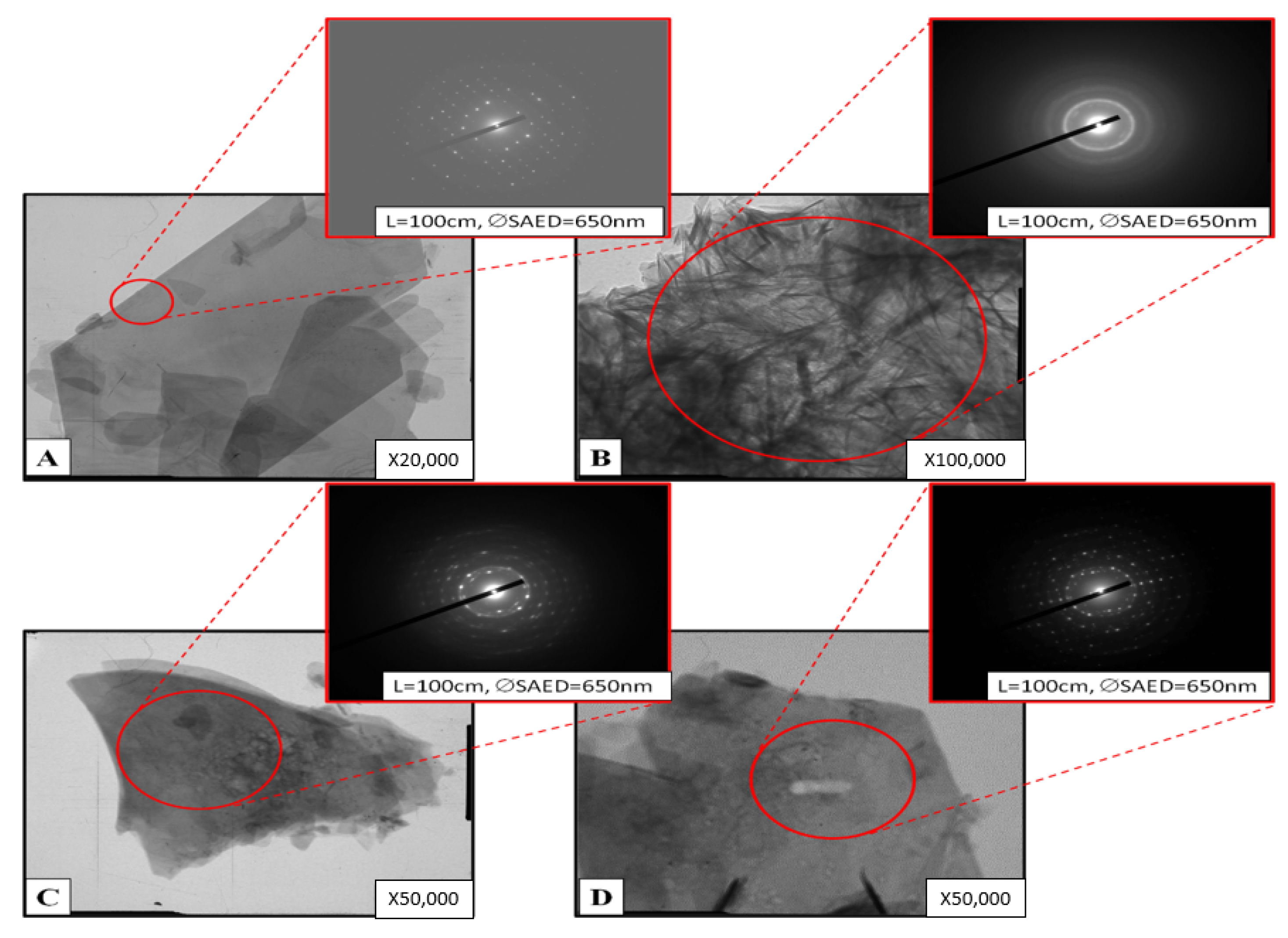 Ijms 22 12747 g004 550