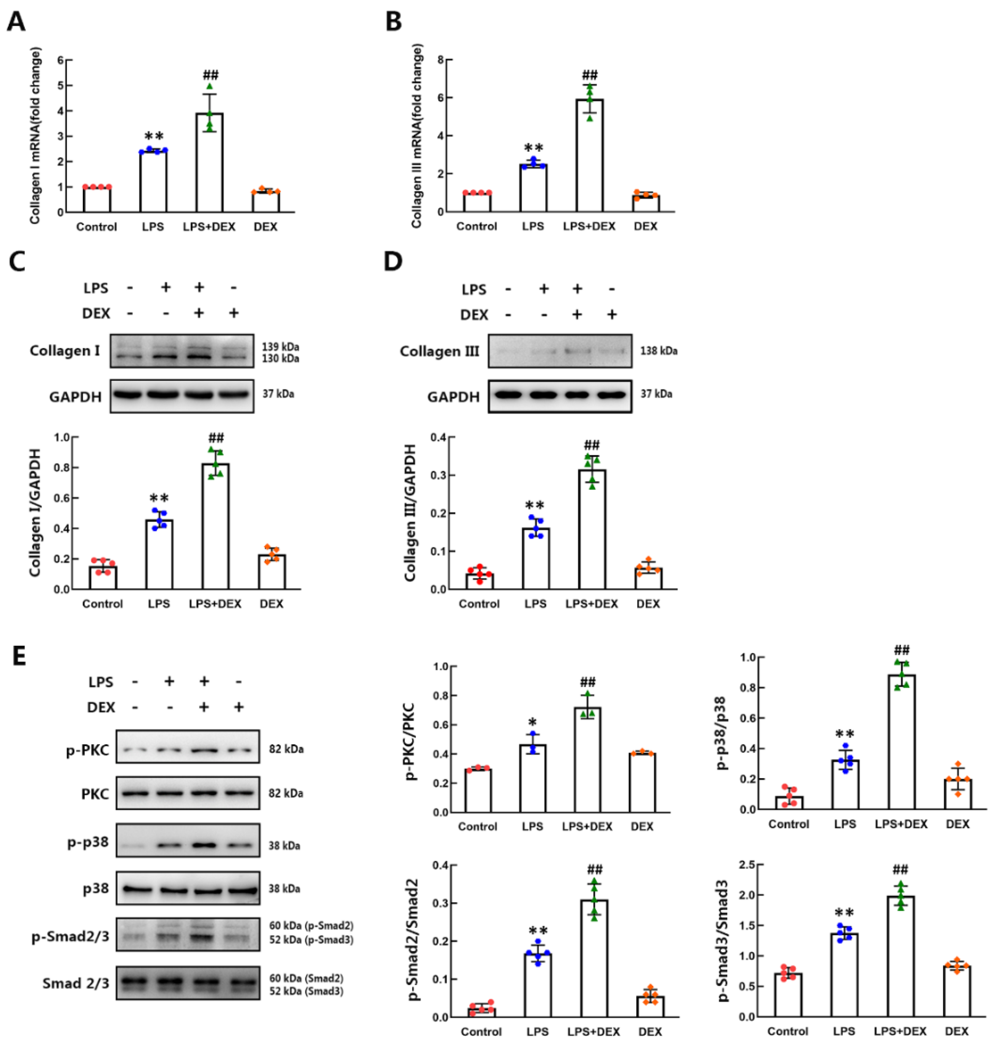 Ijms 22 12749 g002 550