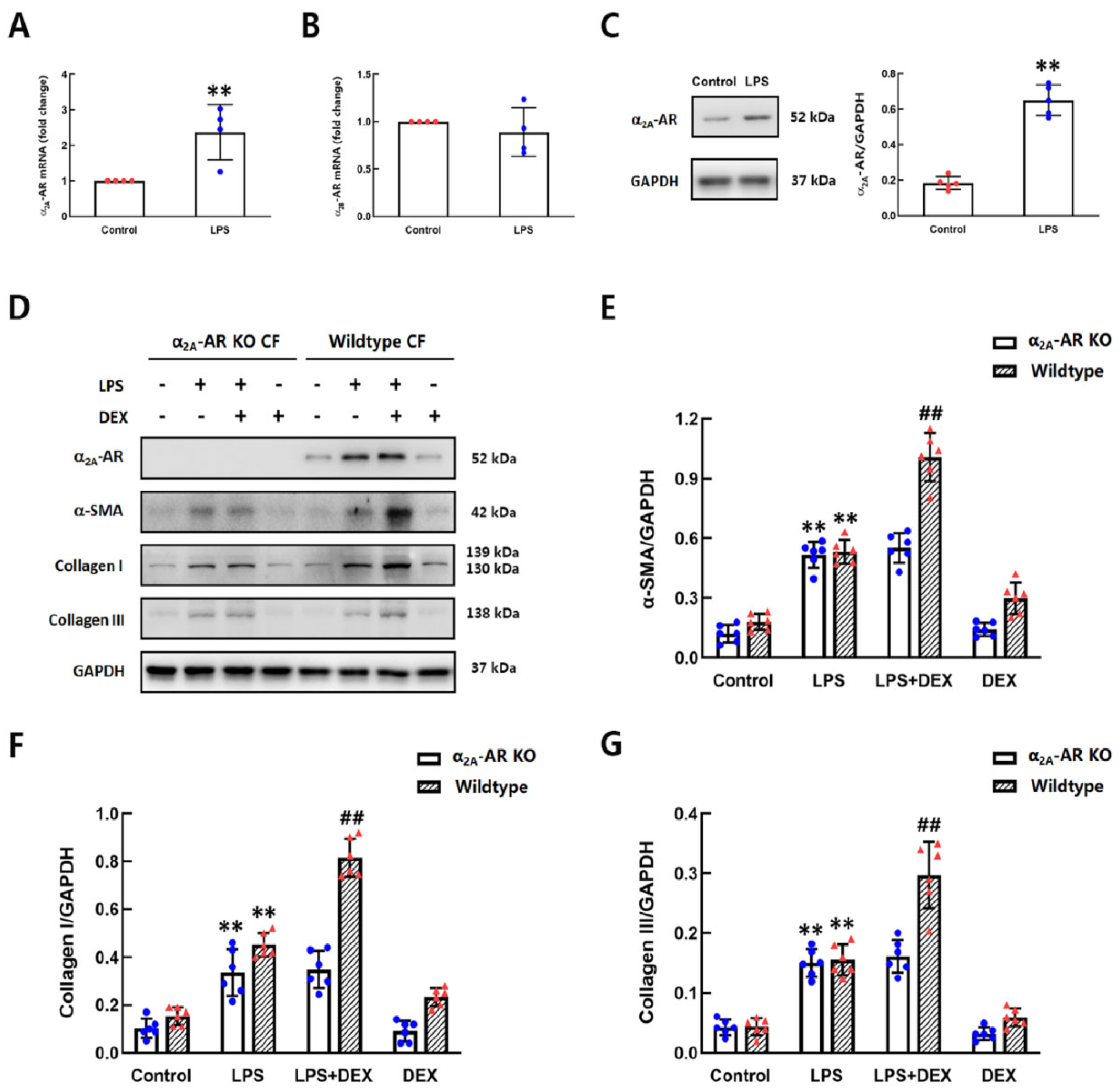 Ijms 22 12749 g003 550