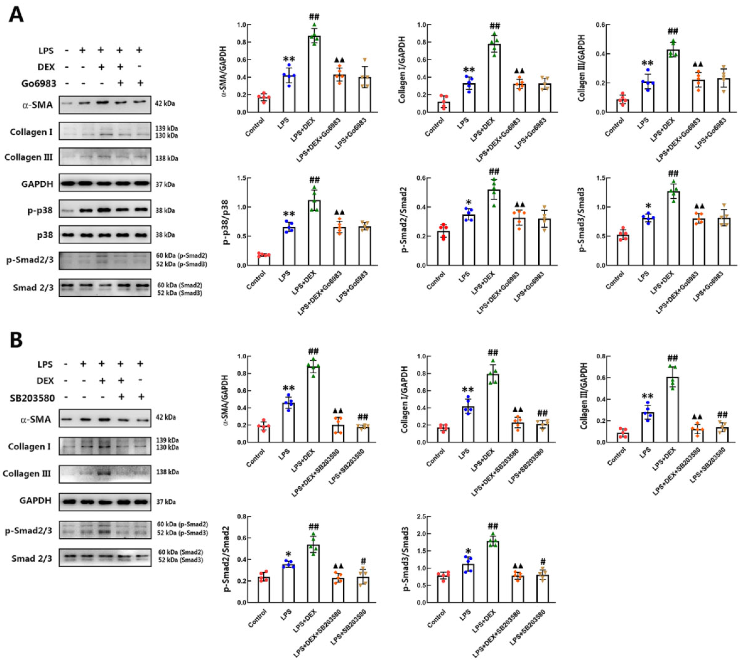 Ijms 22 12749 g005 550