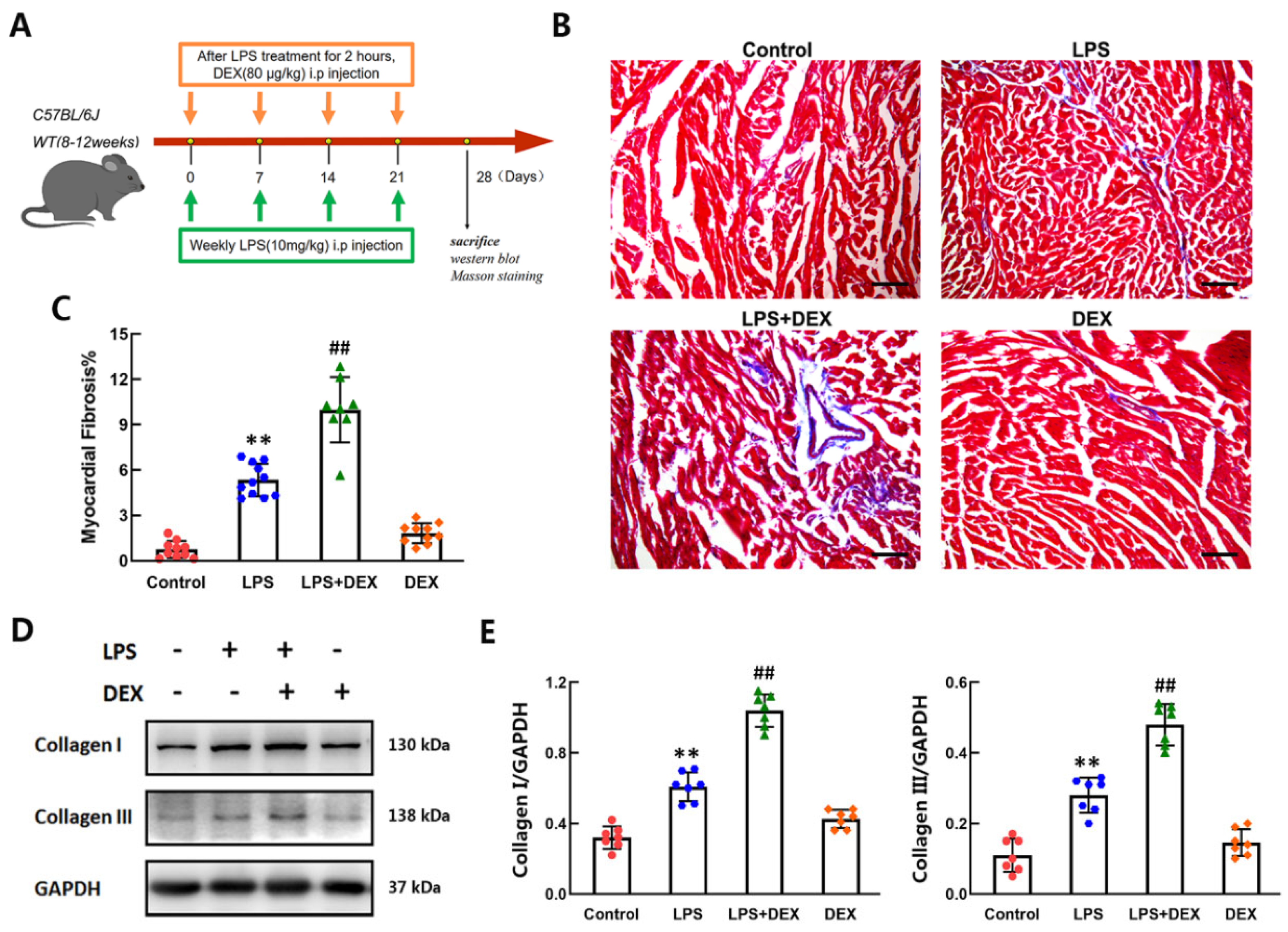 Ijms 22 12749 g006 550
