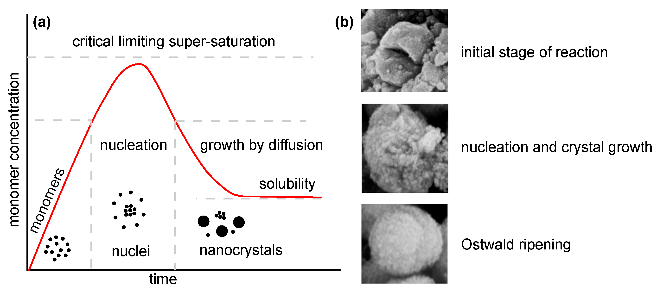 Ijms 22 12752 g005 550