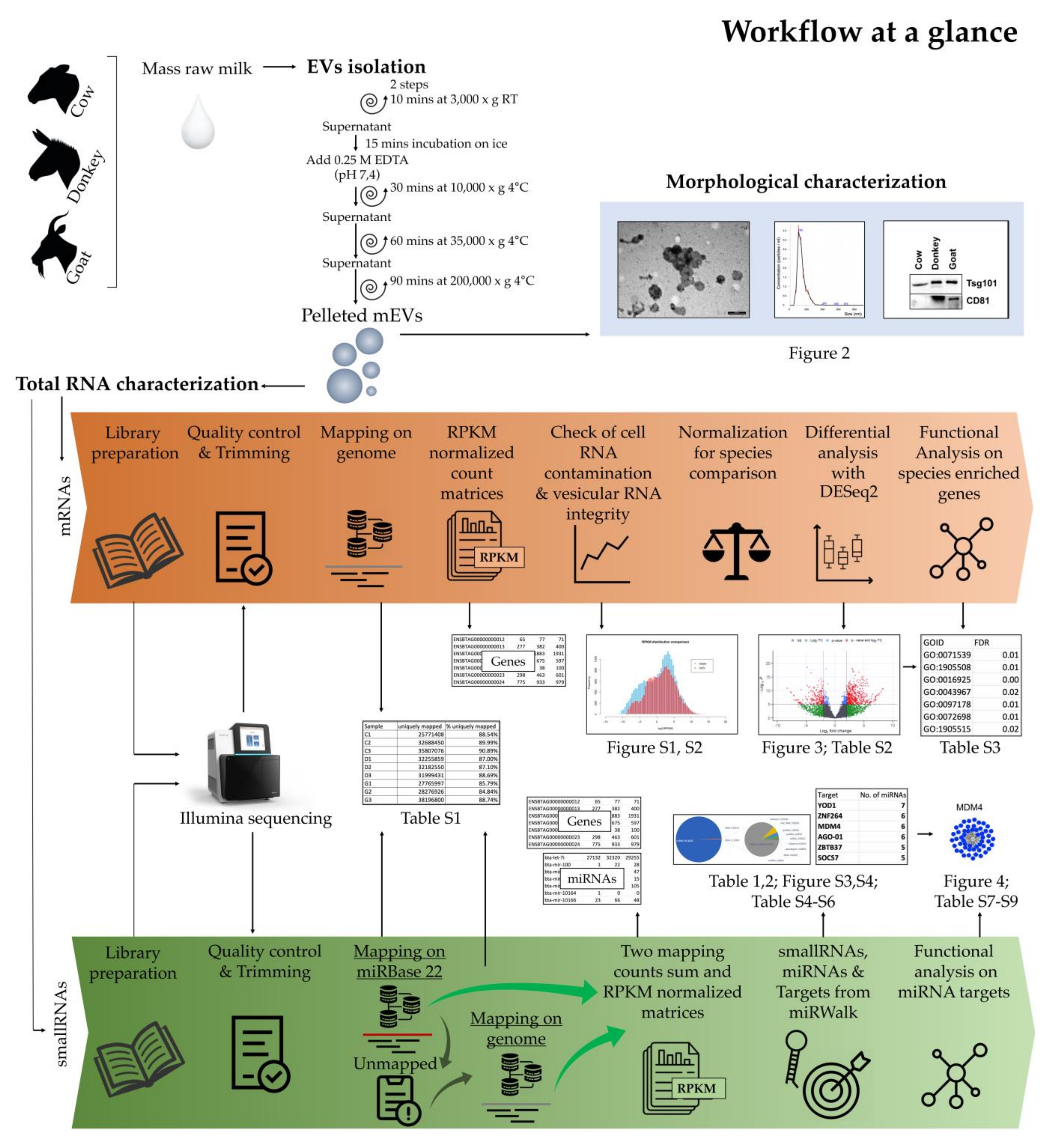 Ijms 22 12759 g001 550