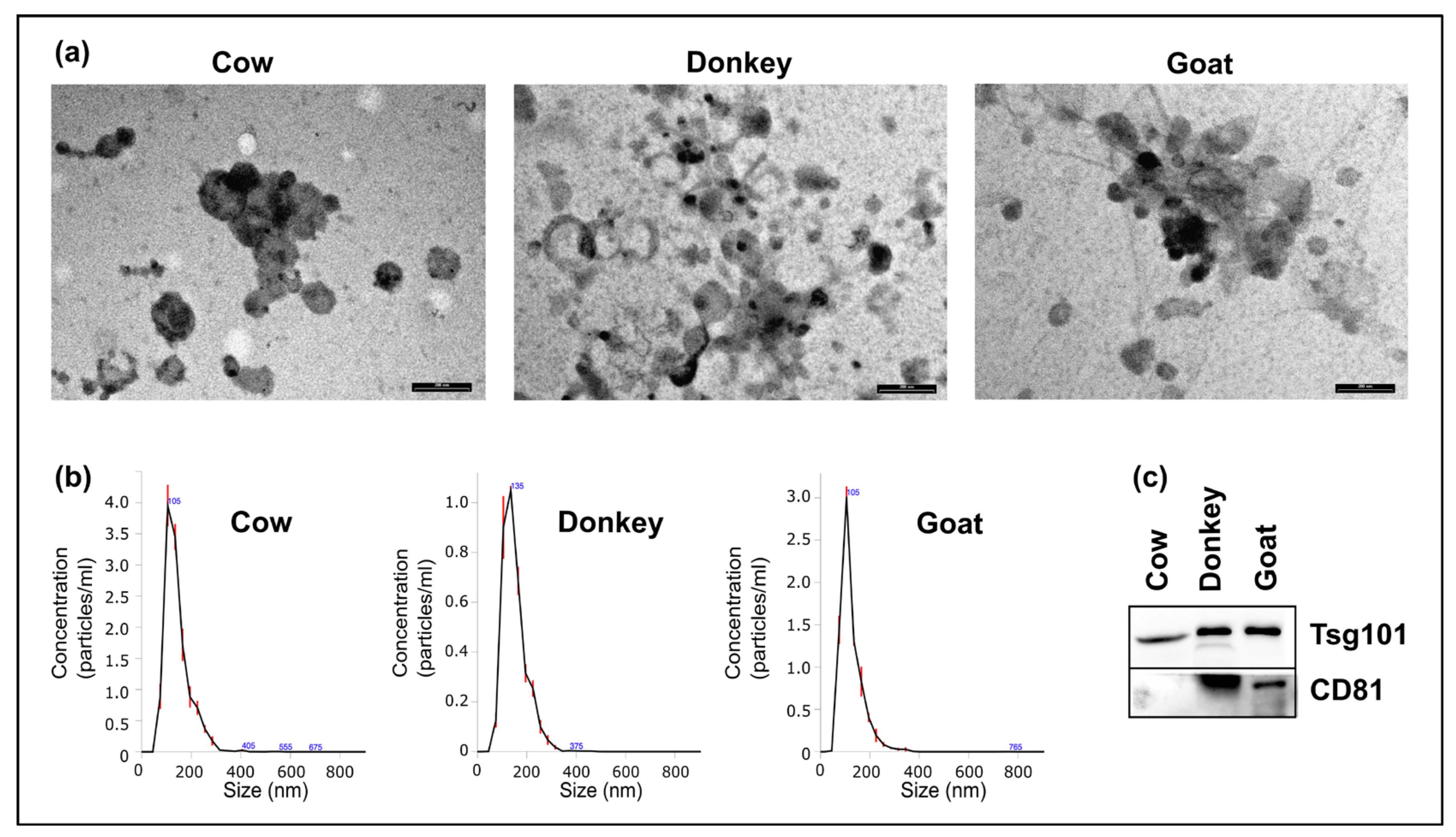 Ijms 22 12759 g002 550