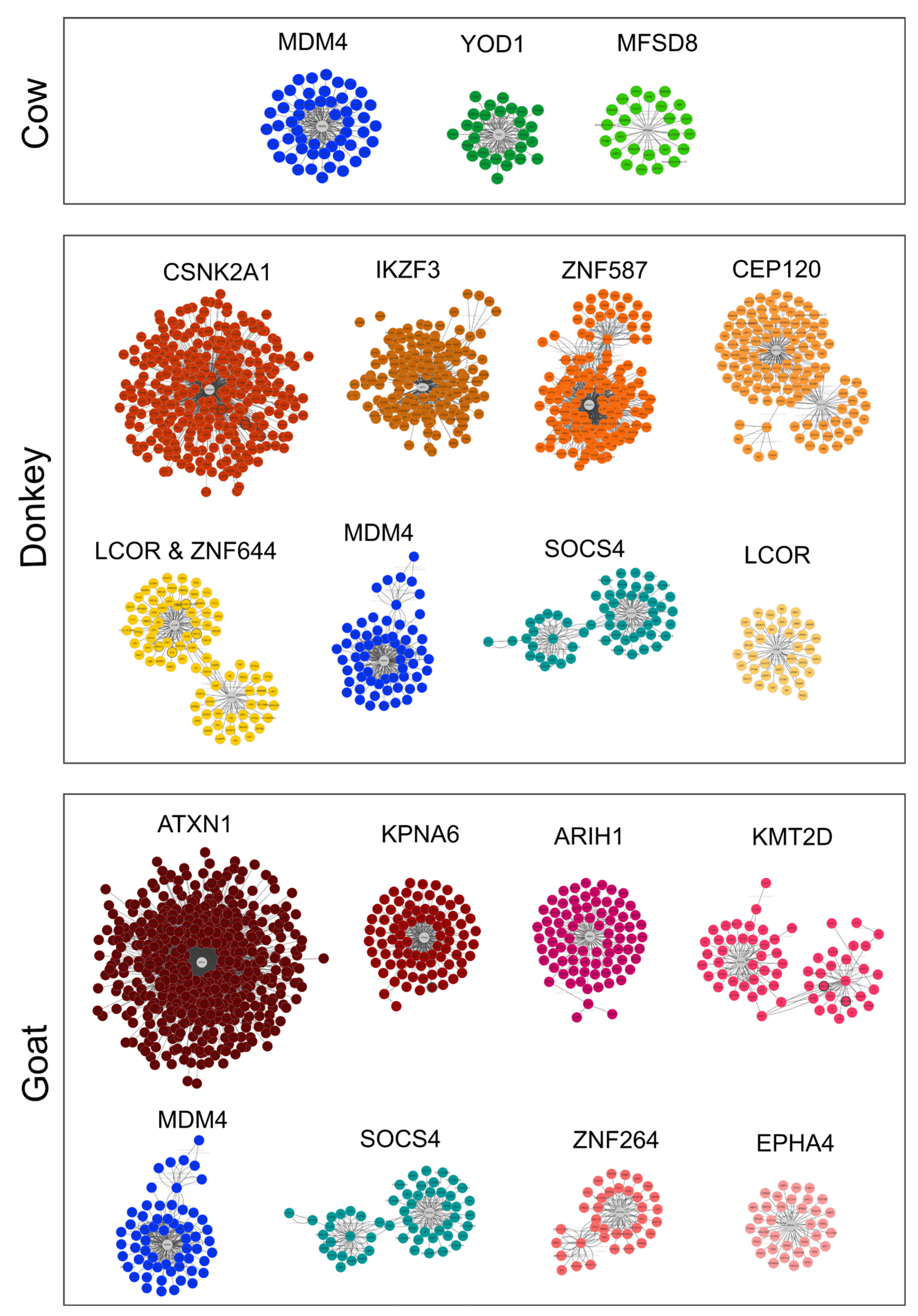 Ijms 22 12759 g004 550