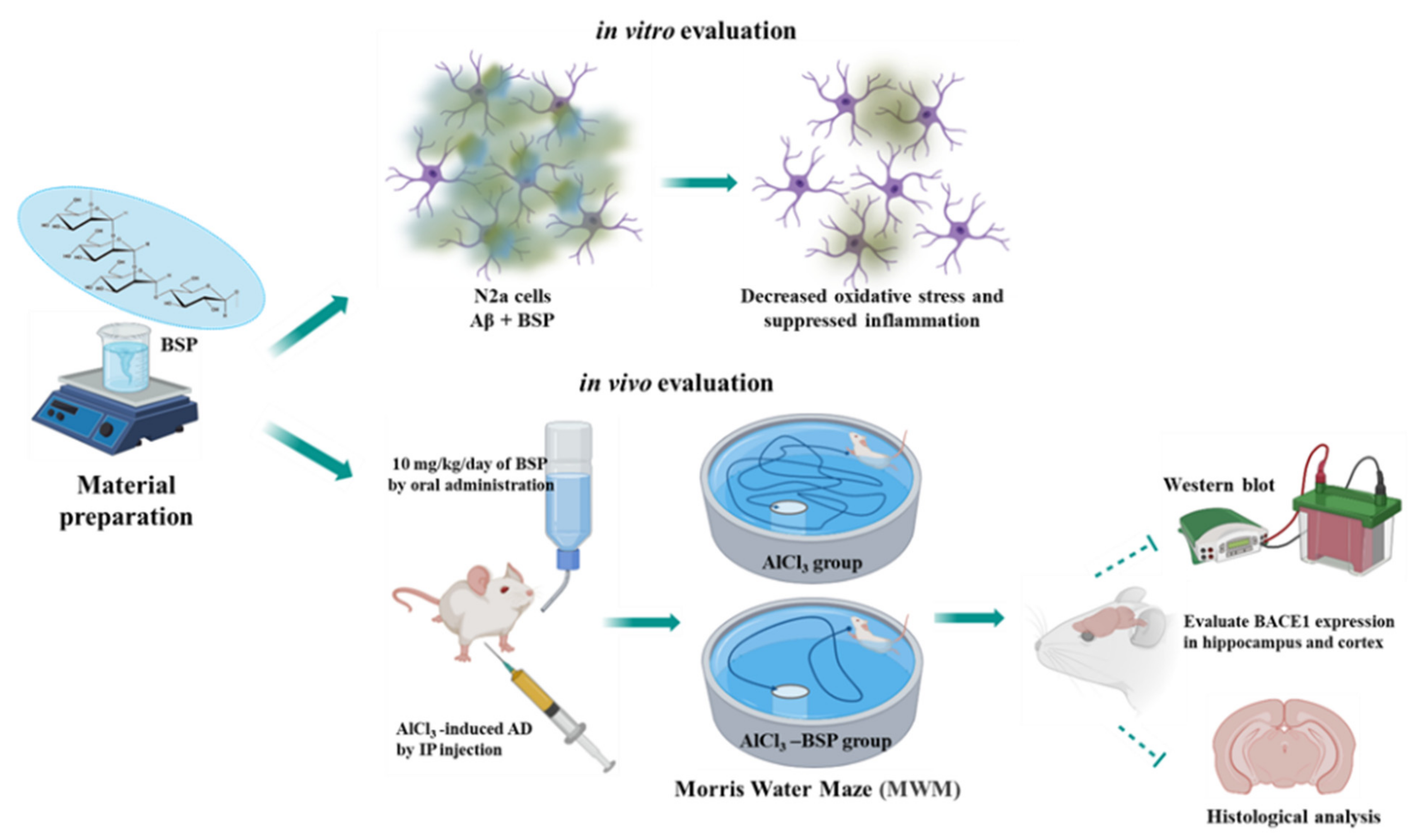 Ijms 22 12760 g001 550