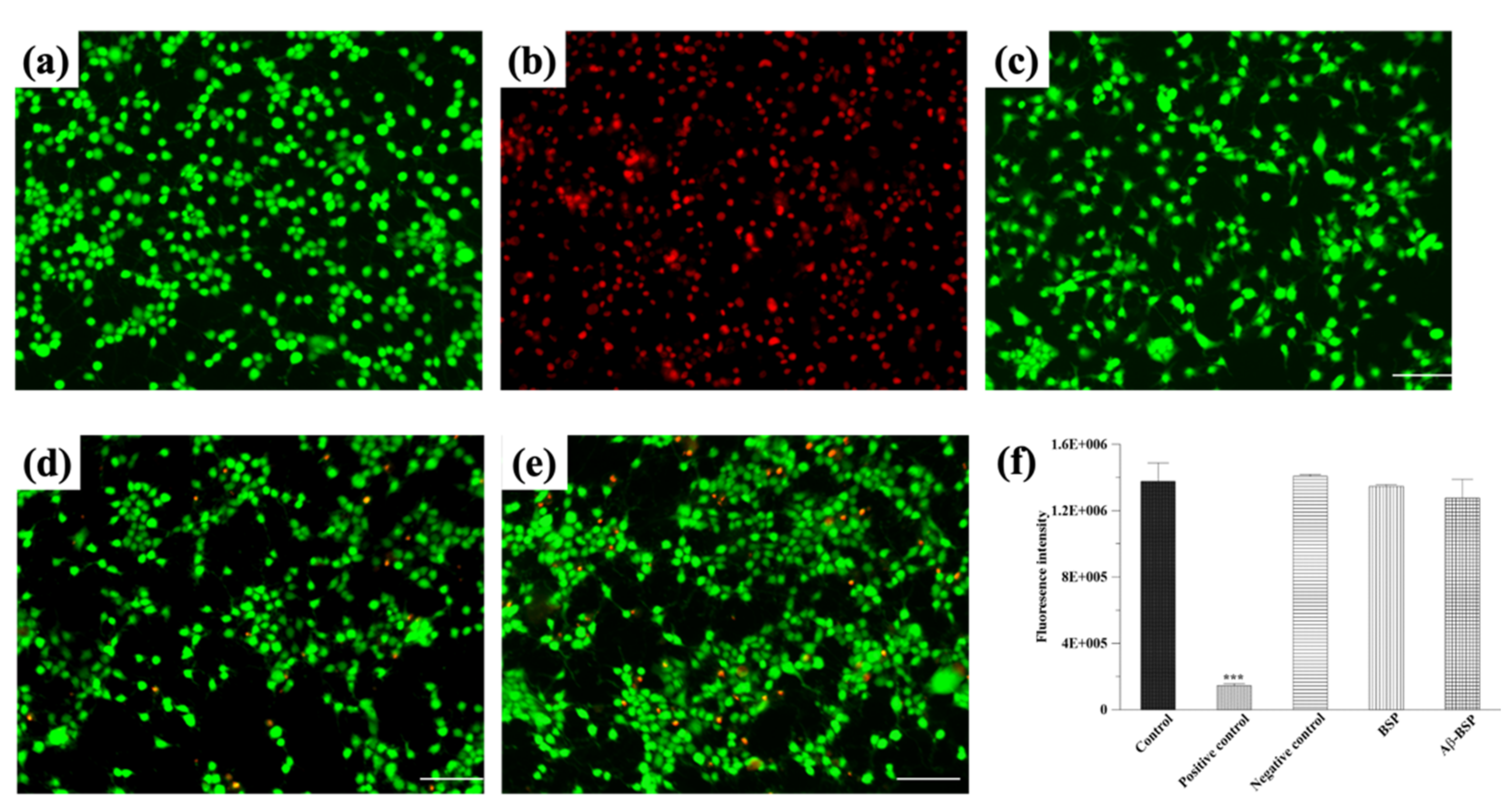 Ijms 22 12760 g004 550