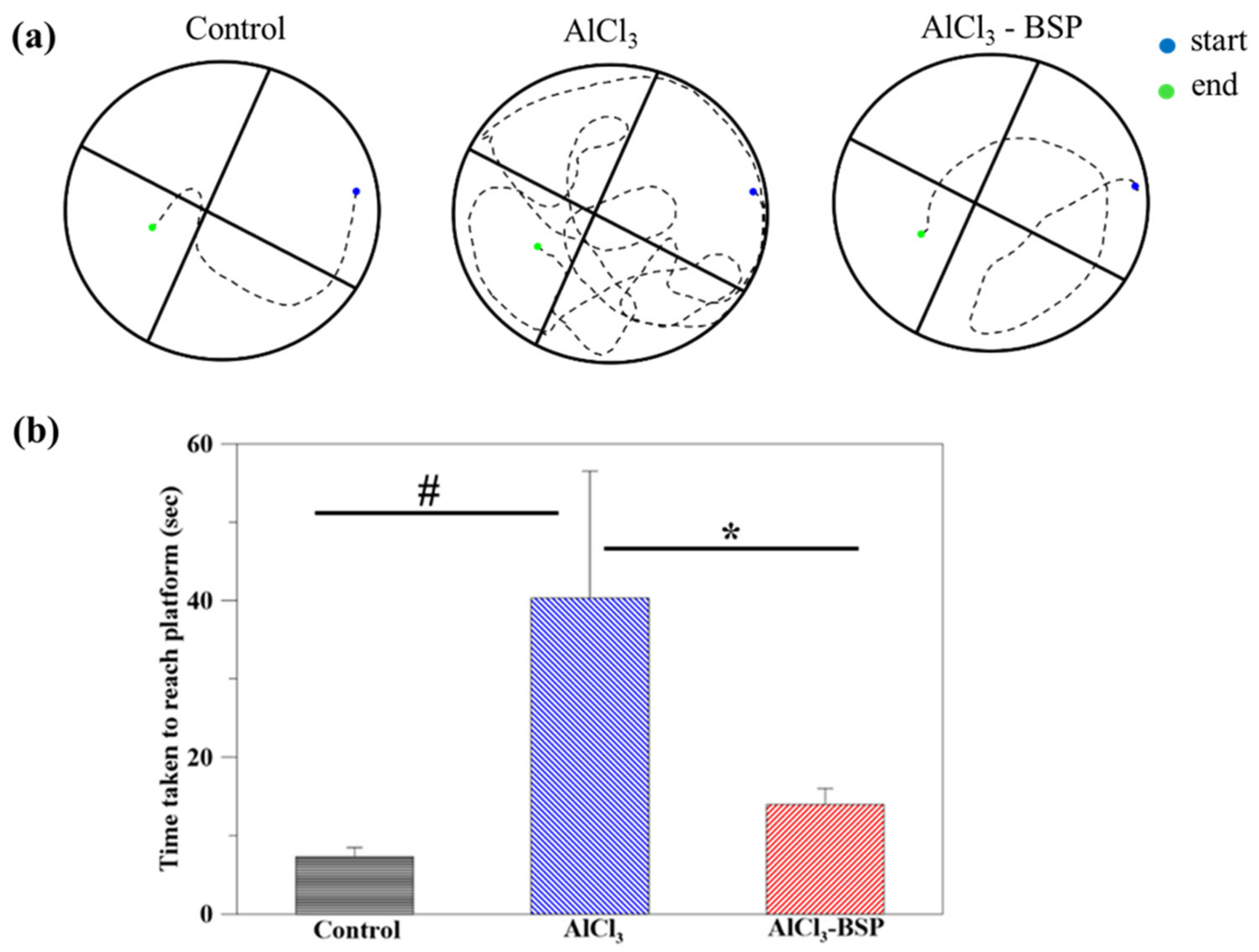 Ijms 22 12760 g008 550