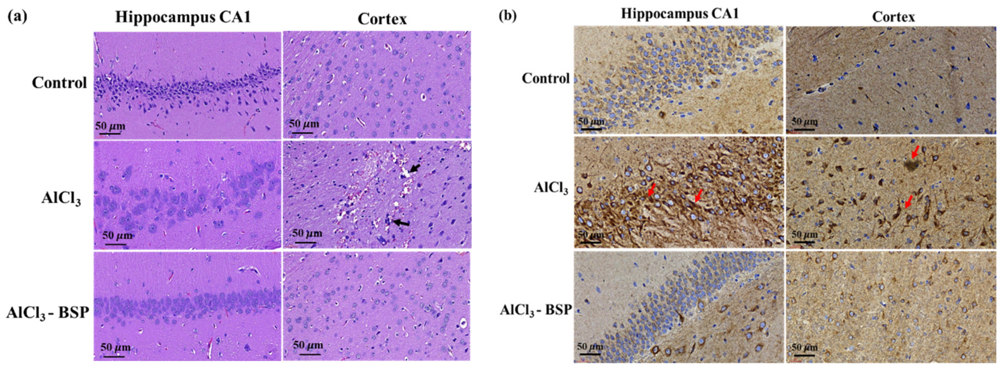 Ijms 22 12760 g010 550