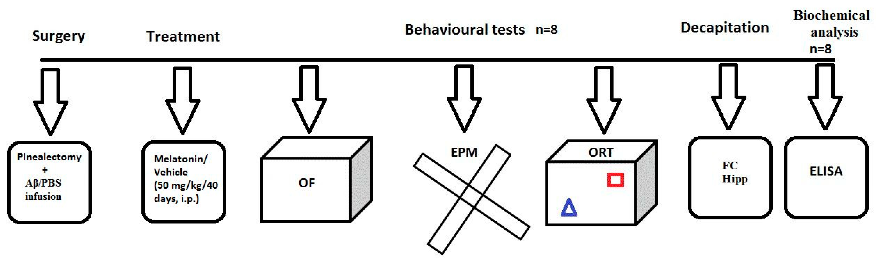 Ijms 22 12763 g007 Ijms 22 12763 g007